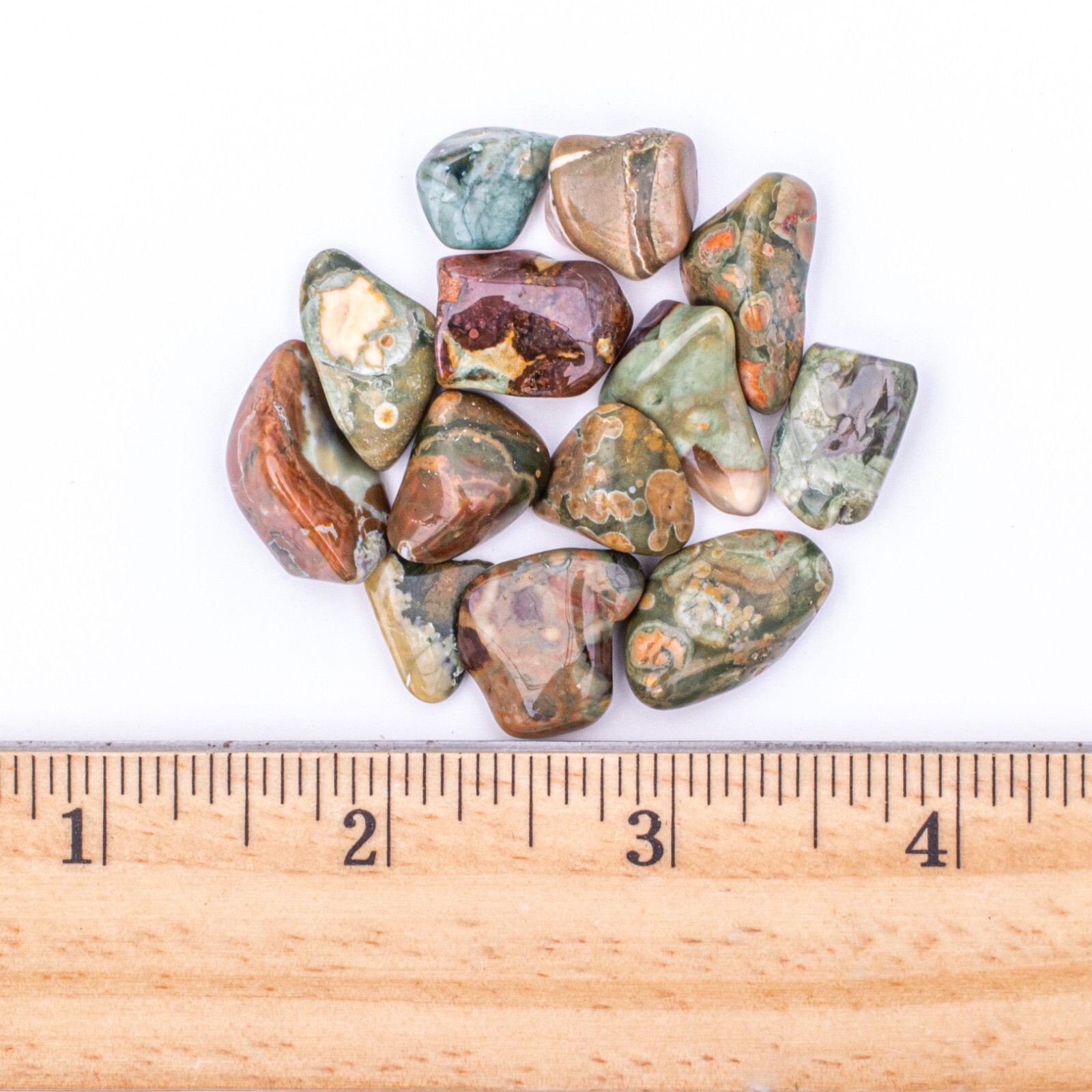 25 Grams Tumbled Rainforest Rhyolite Jasper Gemstone Crystals 10-25 Stones Bulk