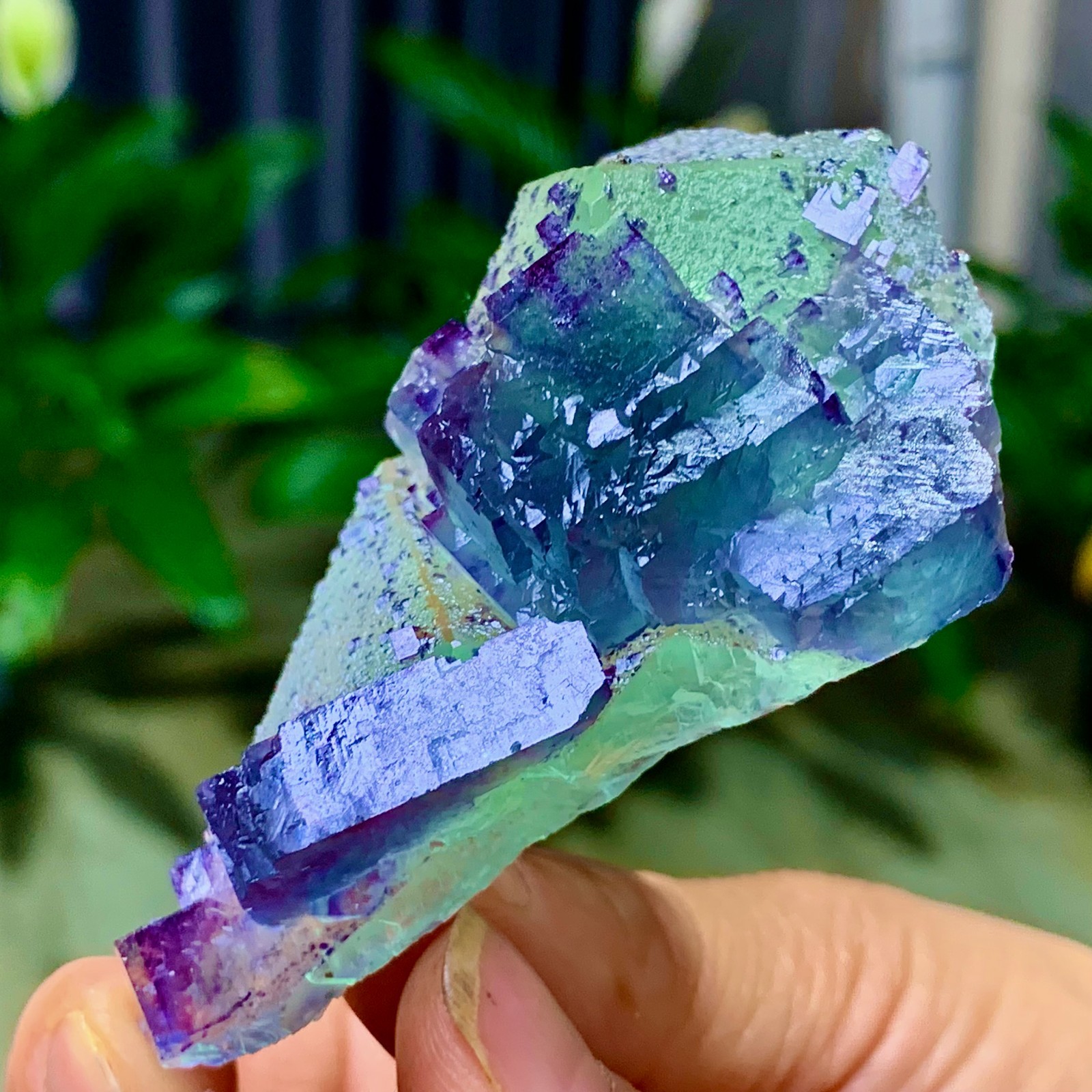 86G Rare transparent green purple cubic Zhejiang fluorite mineral sample