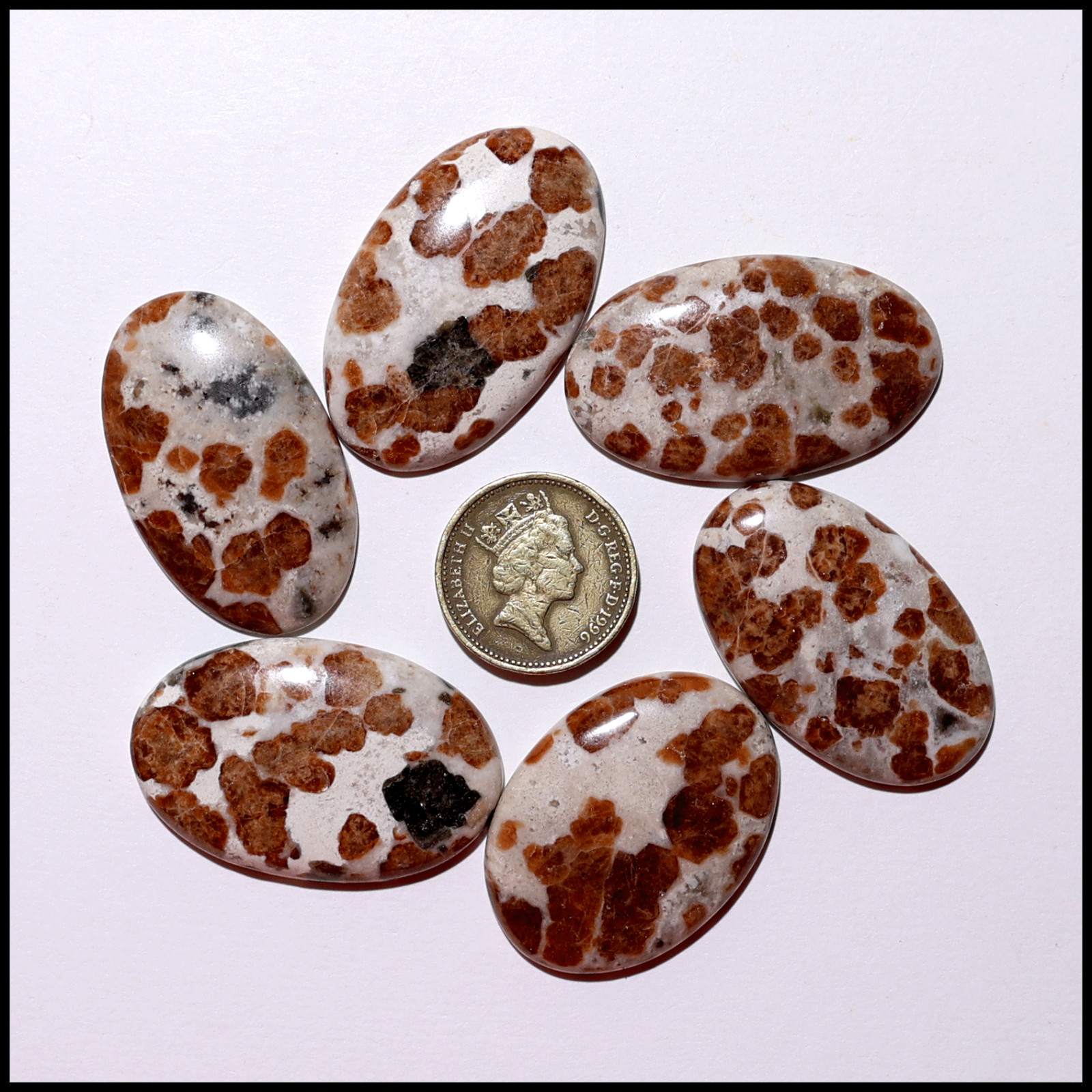 Fiery Blossoms – 6 PC Garnet In Wollastonite Crystals Set – Vitality & Strength
