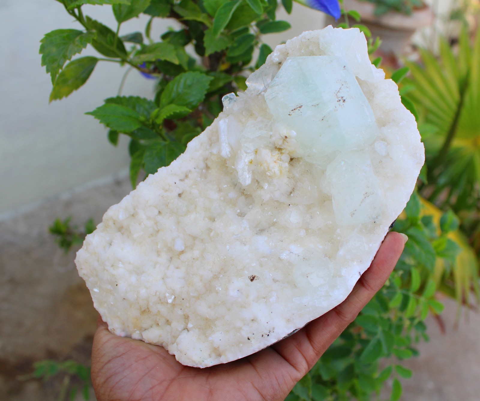 GREEN APOPHYLLITE CRYSTALS ON HEULANDITE MATRIX MINERALS SPECIMEN #A43