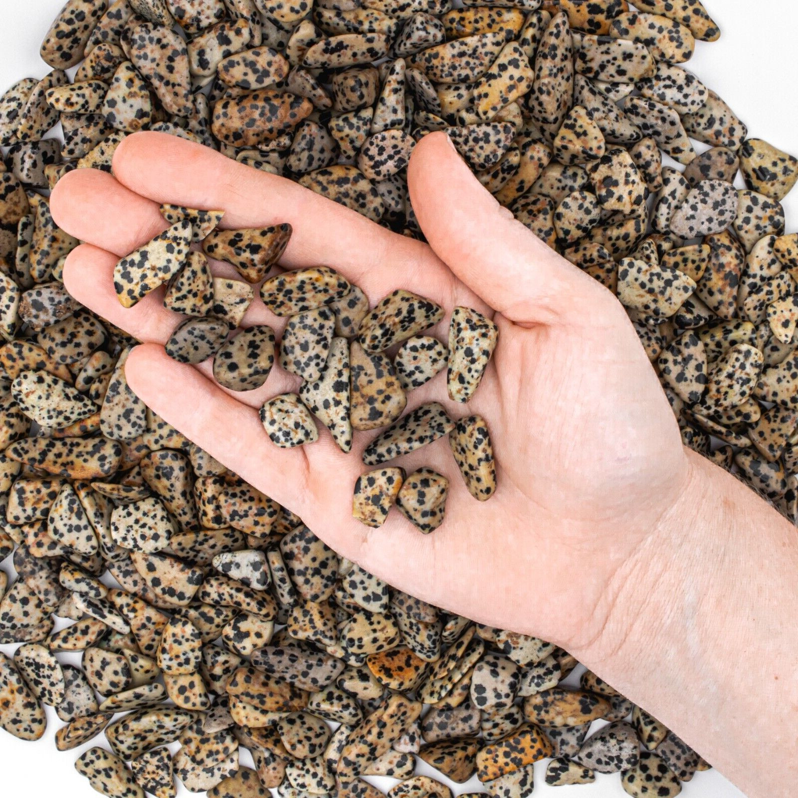 50g Tumbled Dalmatian Jasper Gemstone Crystals 15-30 Stones Bulk Gems Wholesale