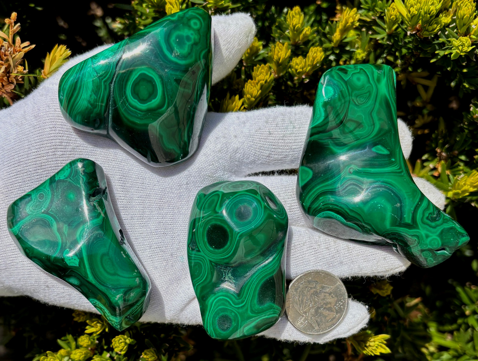 USA SALE 402g LOT MALACHITE POLISHED XL TUMBLE PALMSTONE SIZE PALM STONE STONES