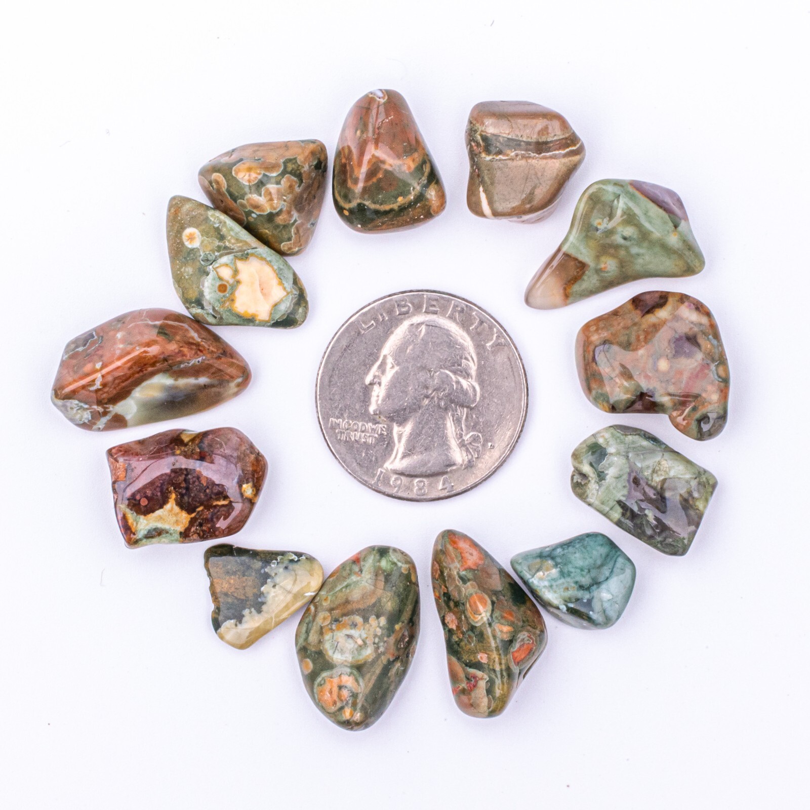 25 Grams Tumbled Rainforest Rhyolite Jasper Gemstone Crystals 10-25 Stones Bulk
