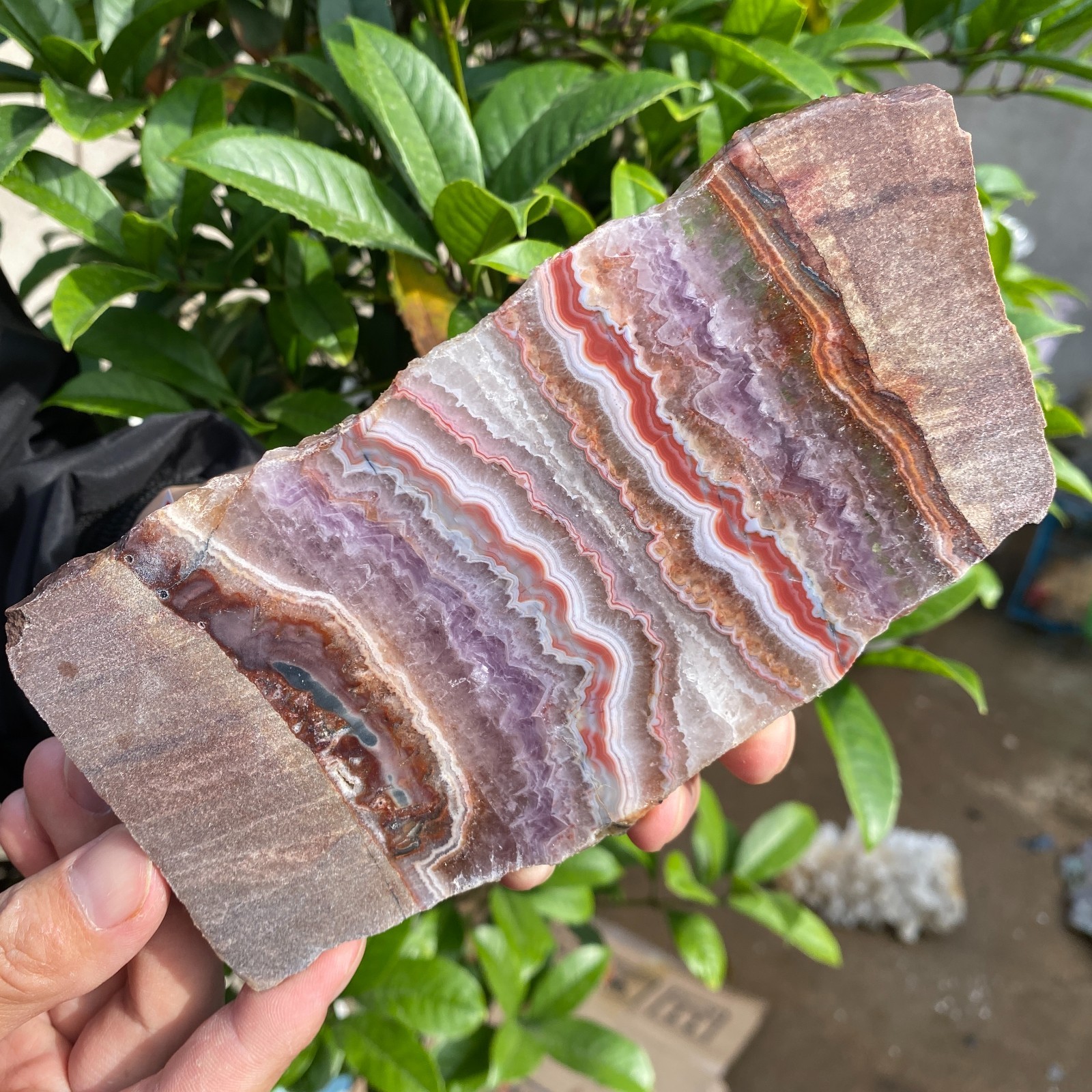 290g Natural Rare Amethyst Lace Agate Slab Quartz Crystal Reiki Healing