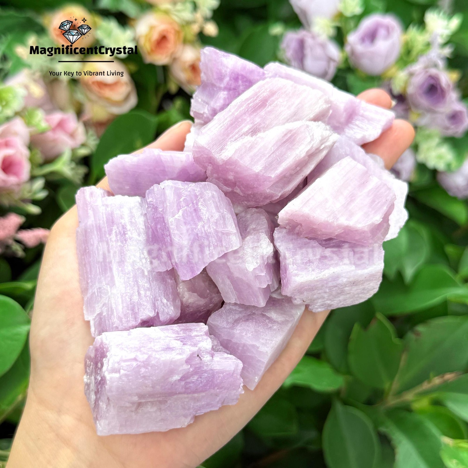 3pcs Genuine Kunzite Crystal Stone Purple Natural Mineral Specimens Healing Deco