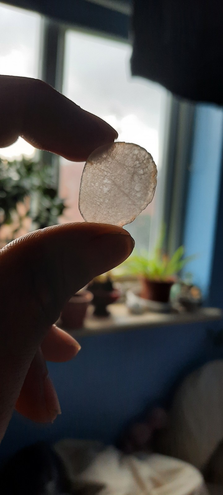 Rough Cut Rock Stone Mineral And Crystal Slices 100g assorted (1-2mm × 10-50mm)