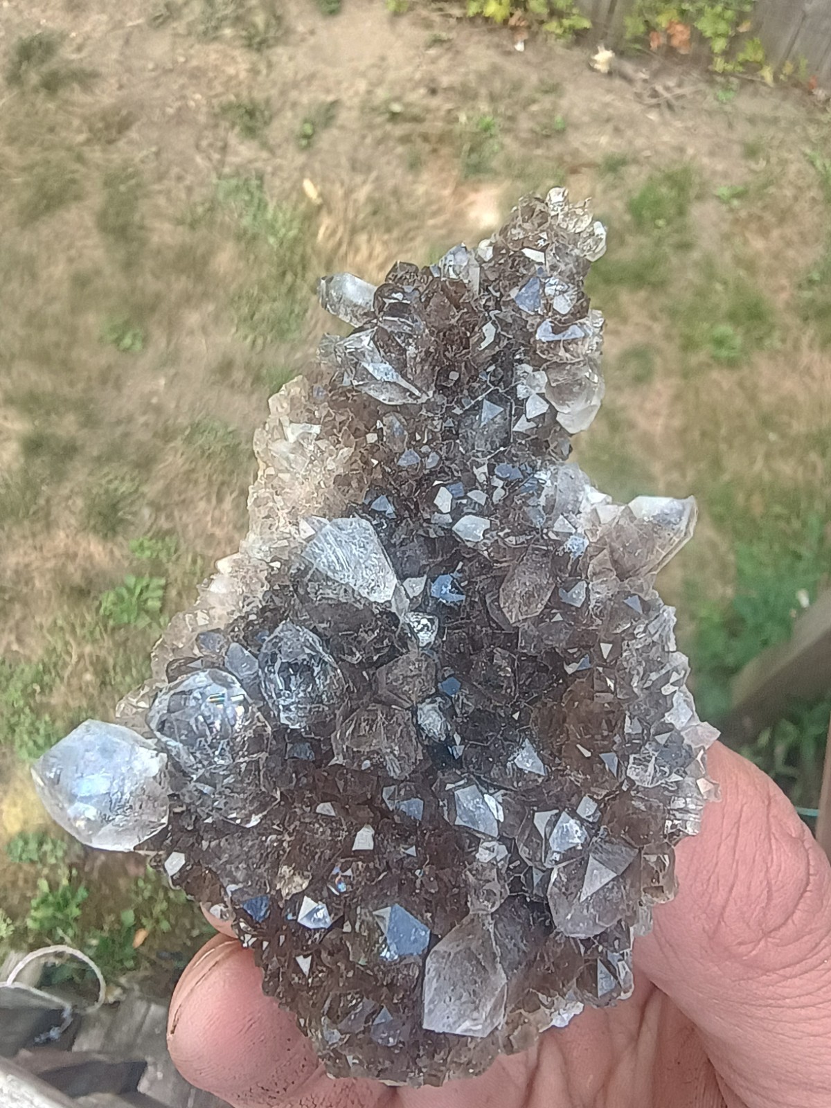 Herkimer 💎Perchers On 🖤 Smokey Druze Plate (Rare Piece) Miner Direct ⚒️