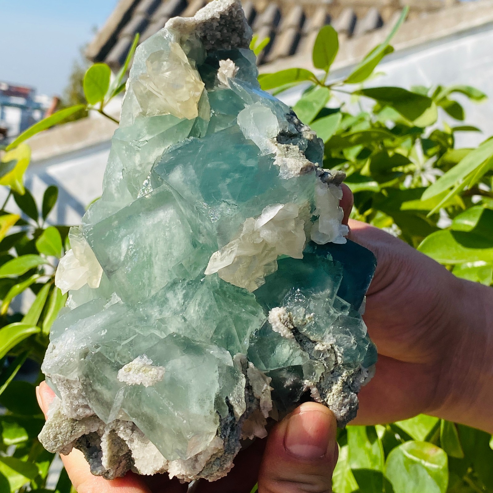 1706g Natural transparent blue green fluorite mineral crystal sample/China