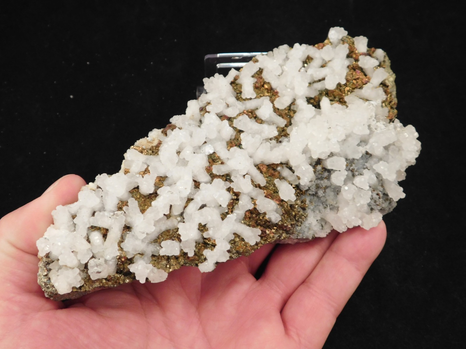 Big! MARCASITE Crystal Cluster with Fluorescent Calcite Crystals Mexico 538gr
