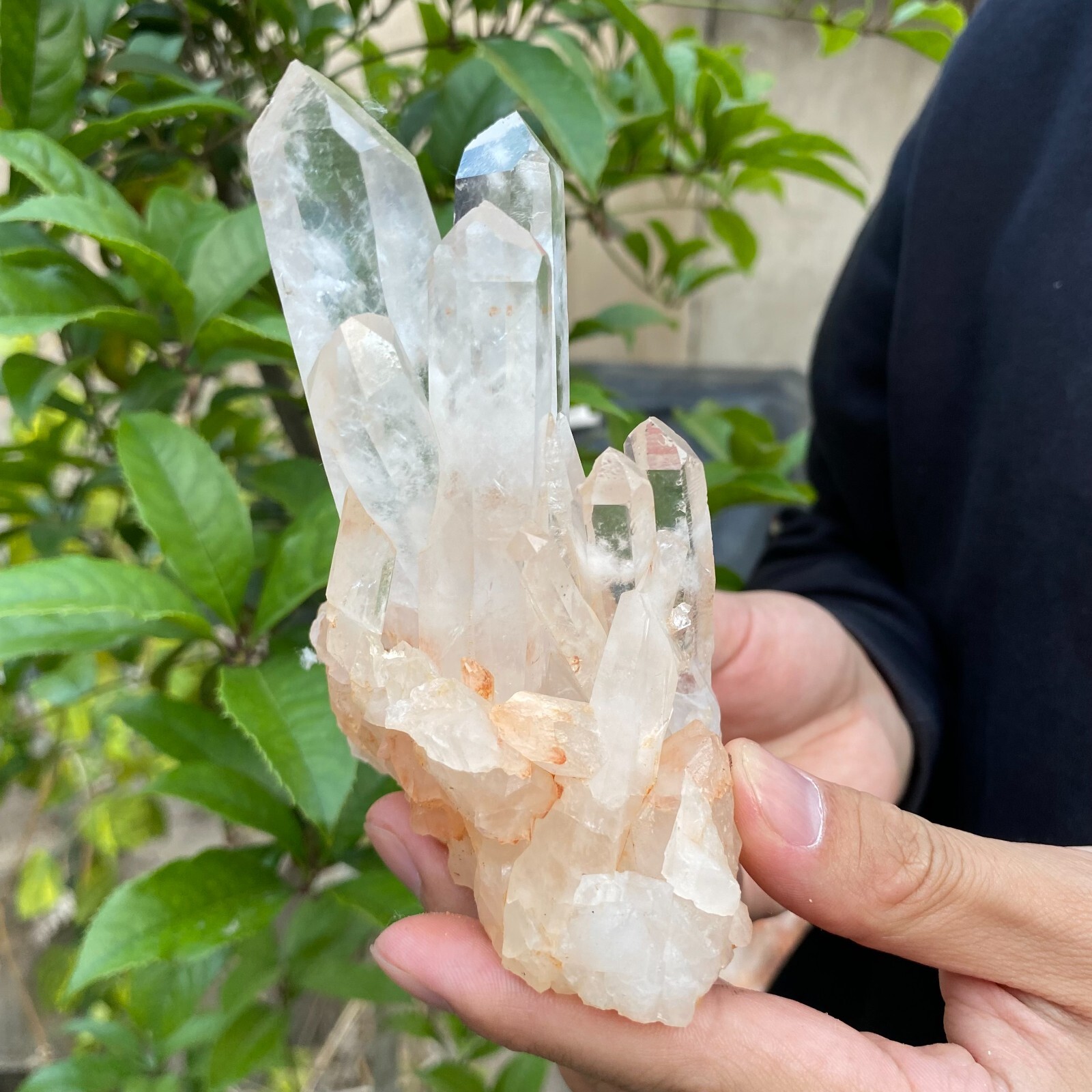 1.2lb Natural Clear White quart Crystal Cluster Raw Healing Specimen