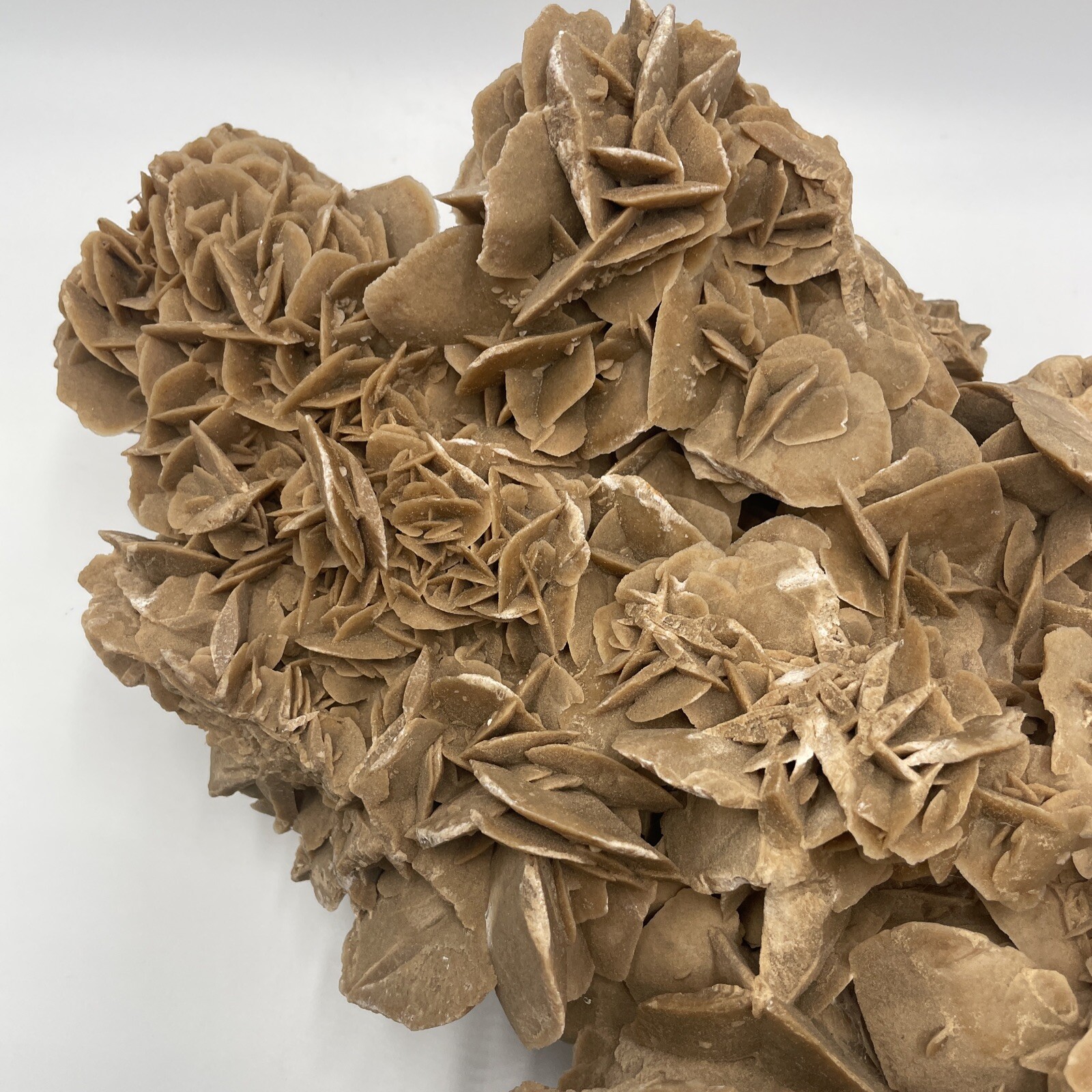 #1 Selenite Gypsum Crystal Desert Rose Specimen 11lb 10oz (5280g) Cluster