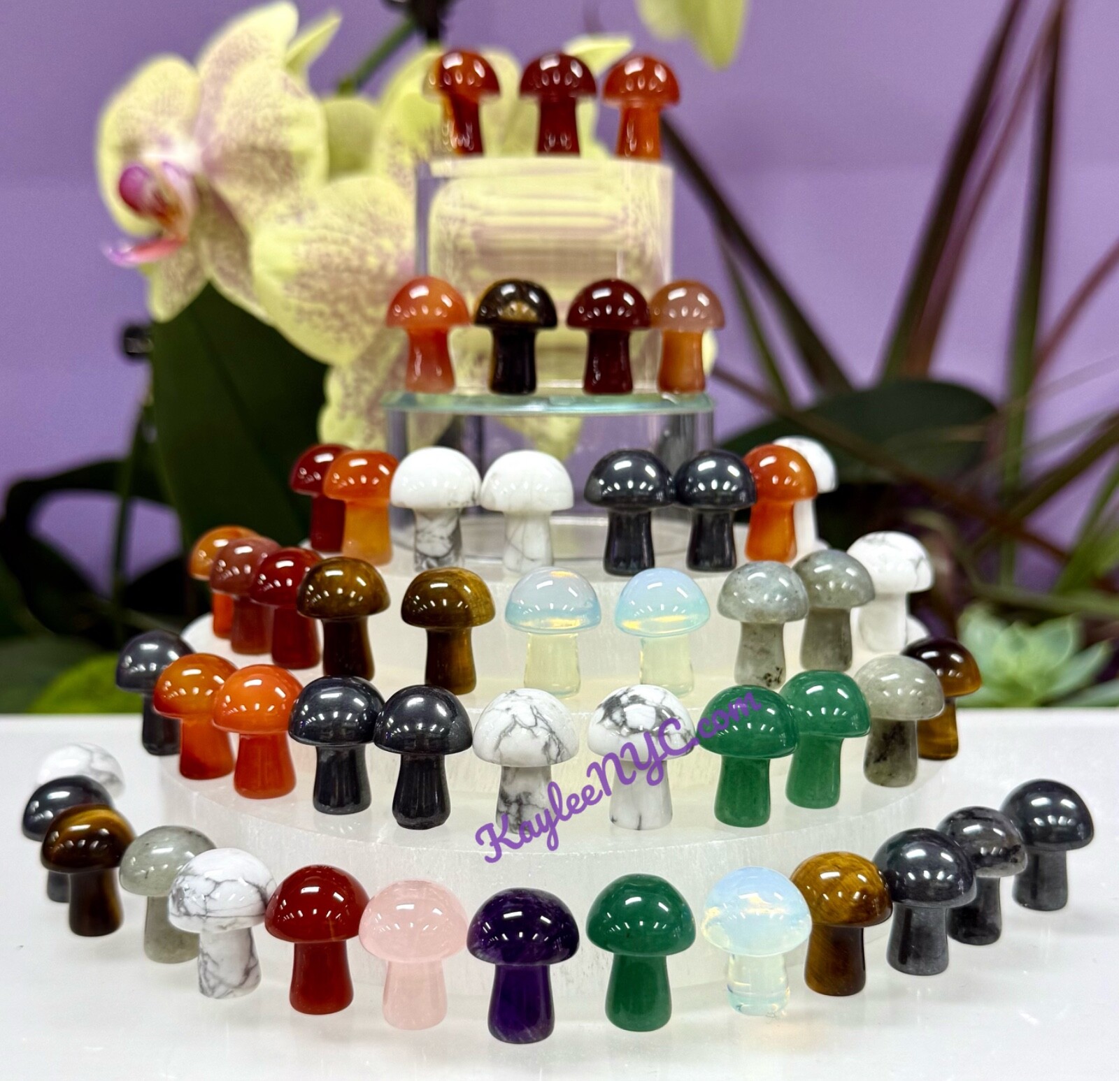 Wholesale Lot 50 Pcs 20mm Mixed Crystal Mushroom Healing Energy