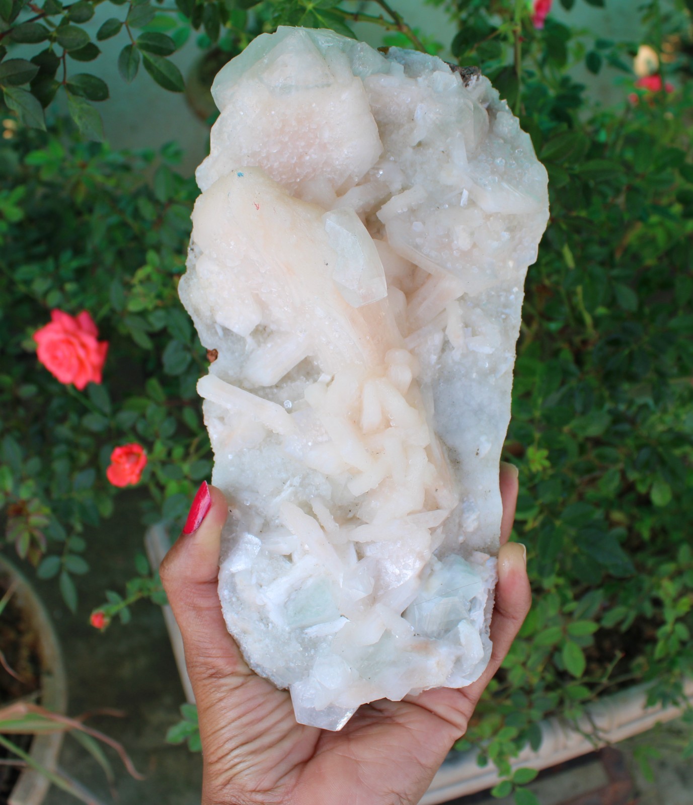 APOPHYLLITE, STILBITE Format On CHALCEDONY CORAL Matrix Minerals specimen #A1