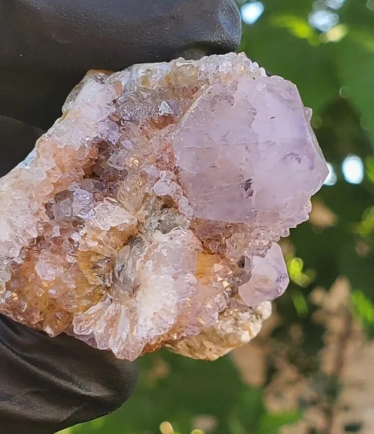Amethyst Spirit Quartz Crystal Cactus Specimen 72g – South Africa