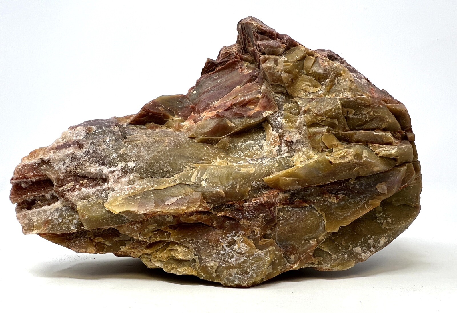 Loose Natural Stone – United States: Raw Petrified Wood RARE Agatized 4lb 4oz