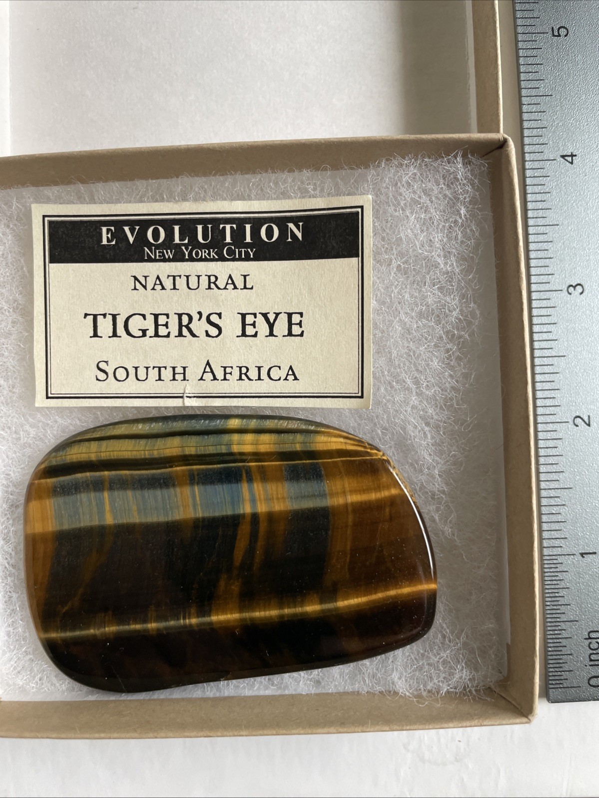 Natural Tiger’s Eye From South Africa Evolution New York City ￼