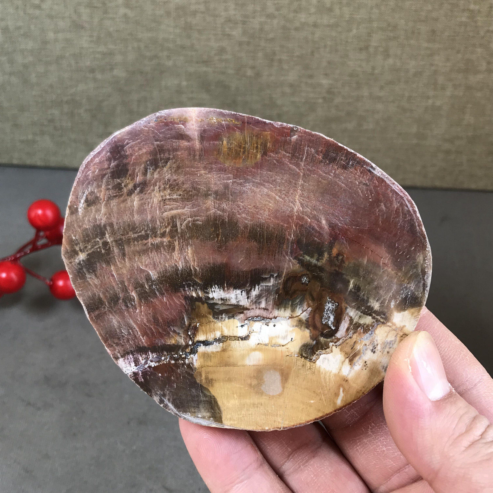 97mm natural Beautiful Petrified Wood Crystal Slice mineral specimen 247g A5426