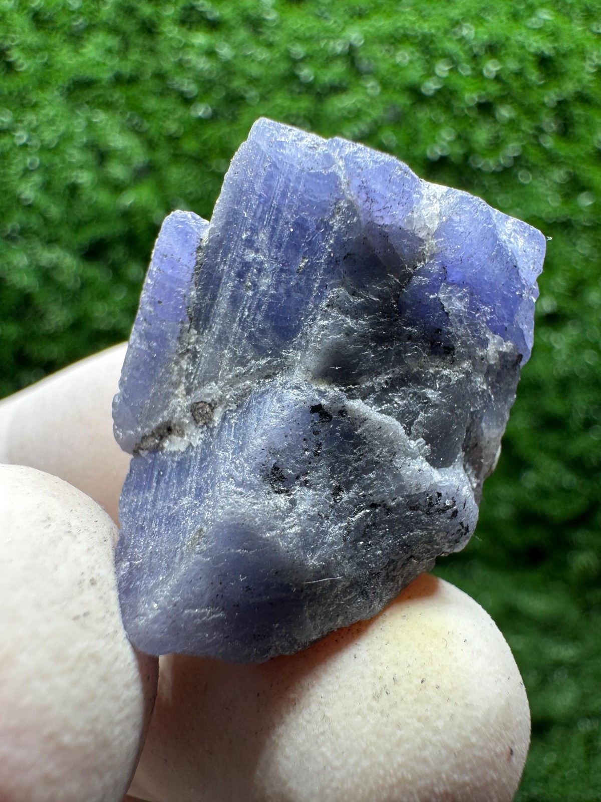 Unique TANZANITE Crystal with COLOR CHANGE under yellow/white light / F532