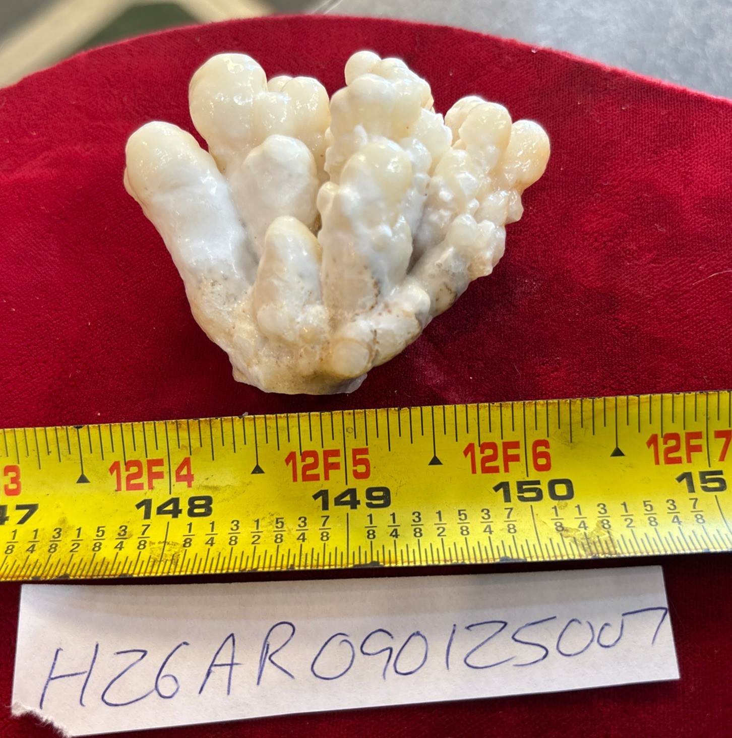 2” ARAGONITE Crystals Cluster – Jbel Ayachi, Morocco 76 Grams See Video