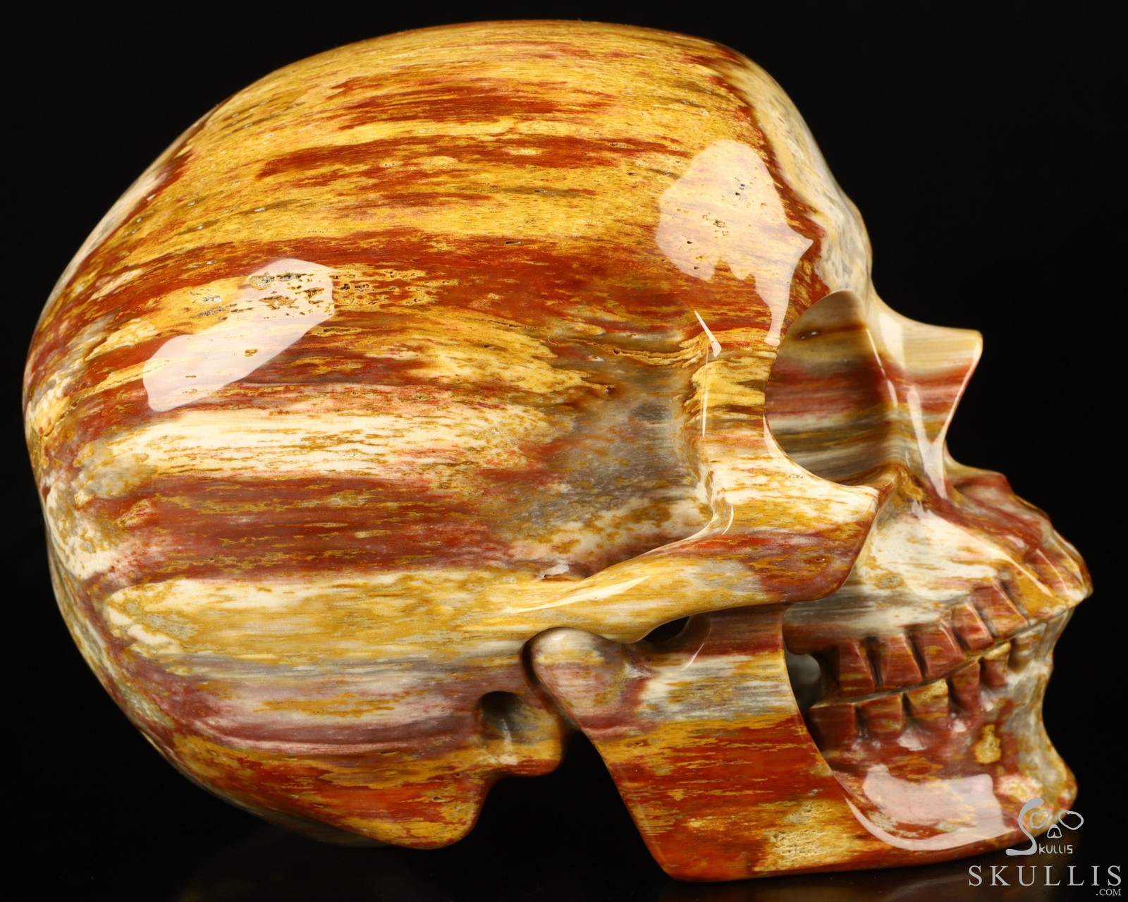 Lifesized 7.0″ Petrified Wood Carved Crystal Skull,Super Realistic, Healing