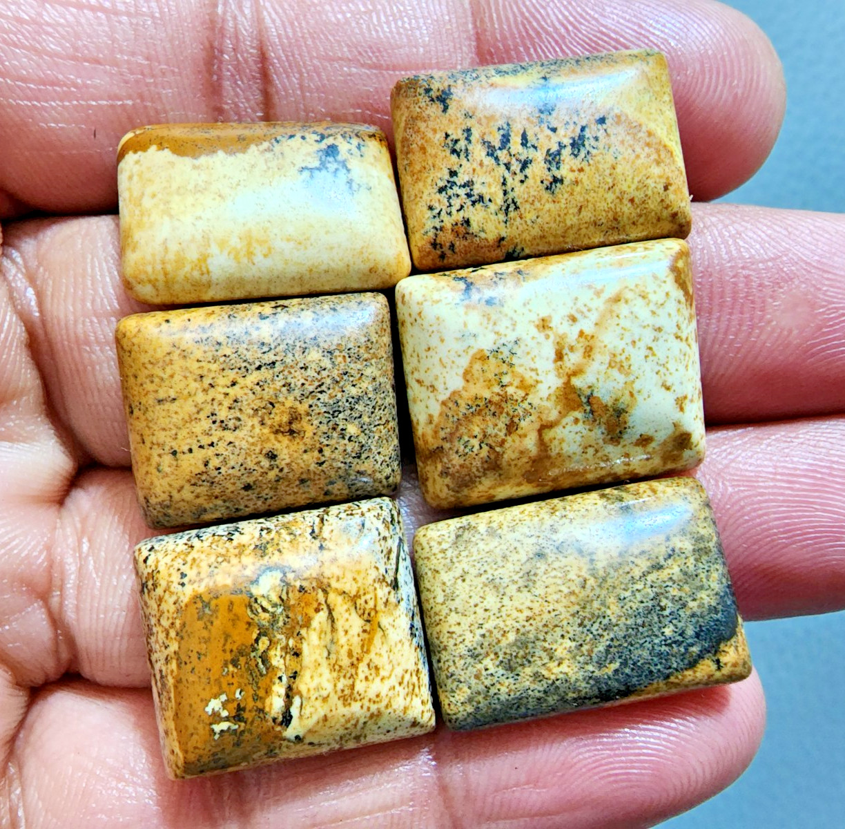 Natural Picture Jasper Cabochons 6 Piece Lot Polished Stone Jewelry Making Lot