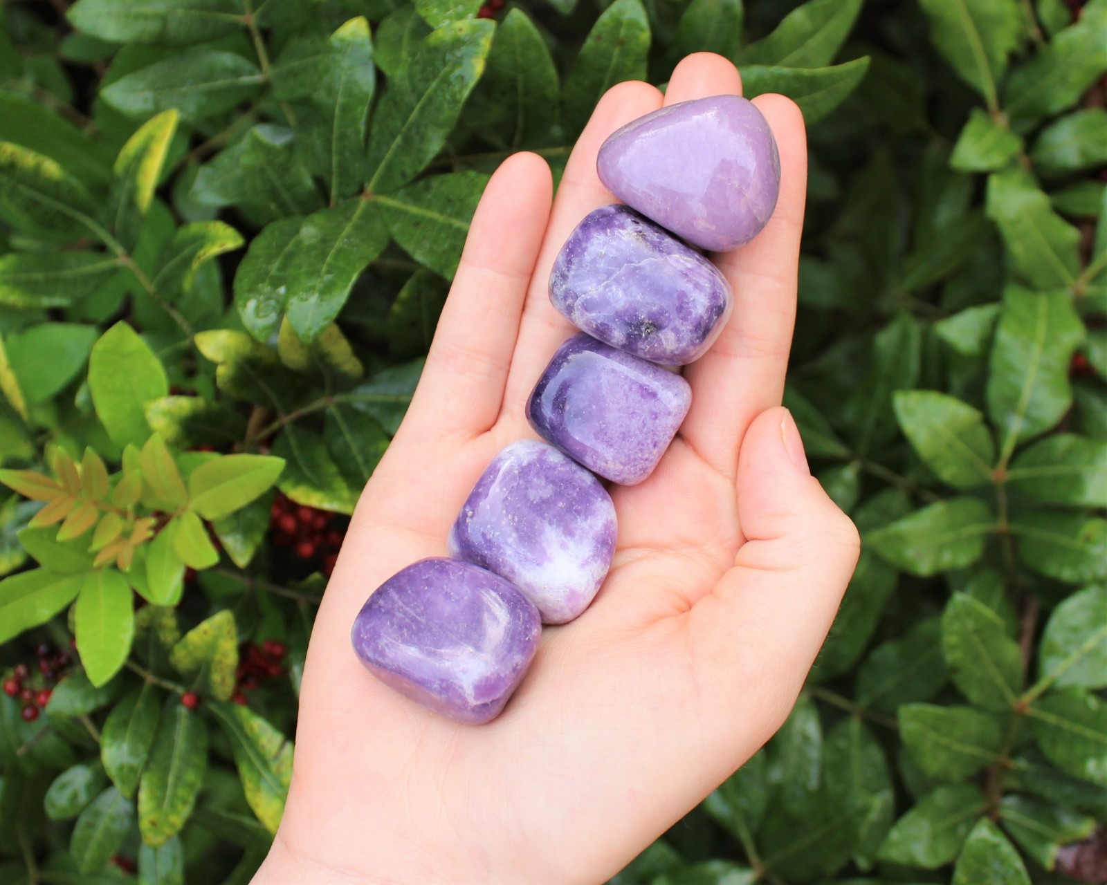 Lepidolite Tumbled Stones: Choose How Many (‘A’ Grade Lepidolite Crystals)