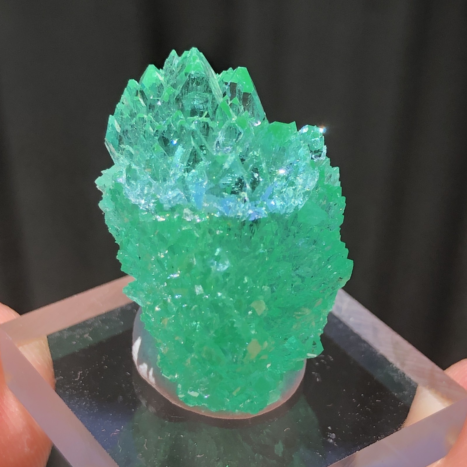 2.4cm Emerald Green Apophyllite Crystals with Stilbite from Madhya Pradesh, Indi