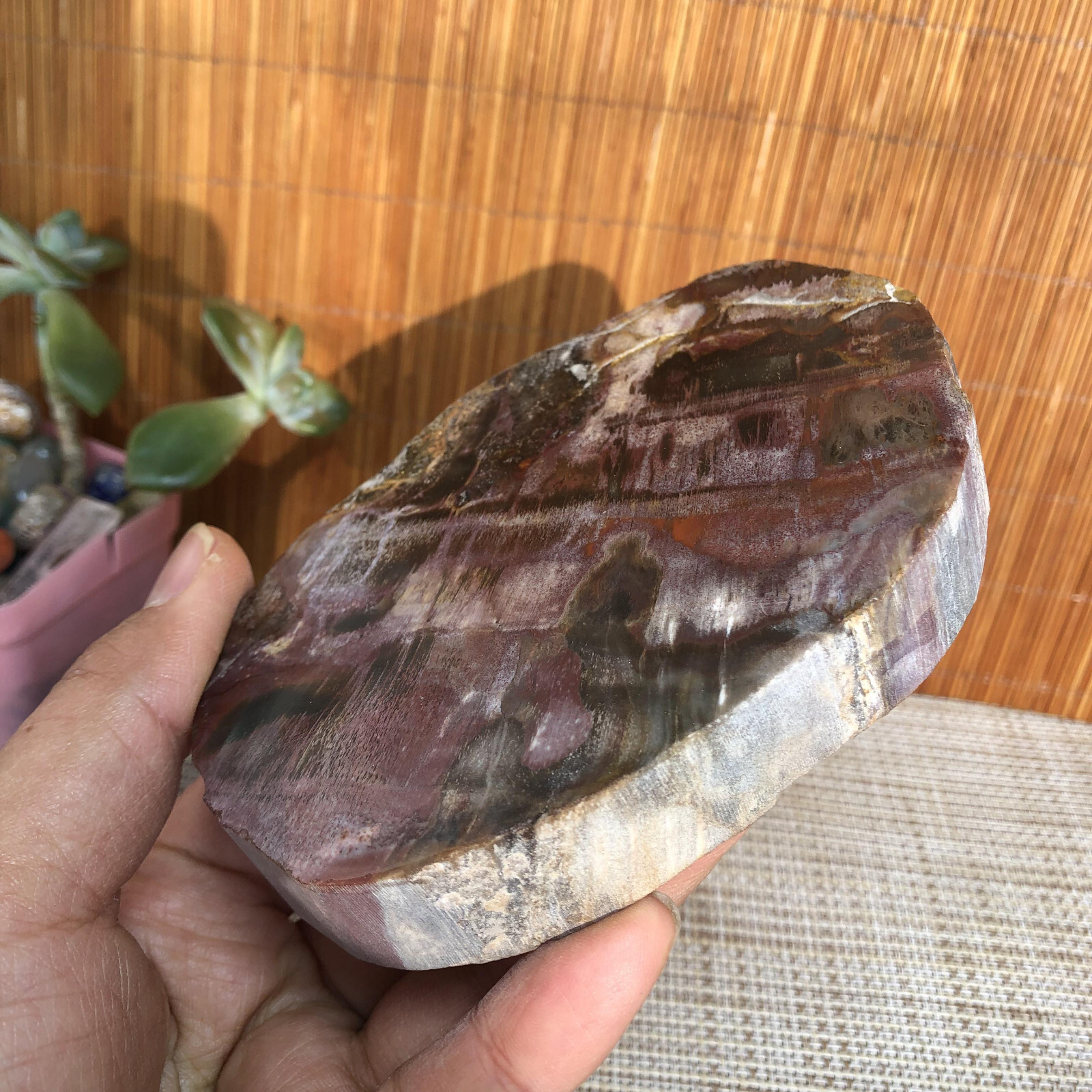 109mm natural Beautiful Petrified Wood Crystal Slice mineral specimen 341g A4860