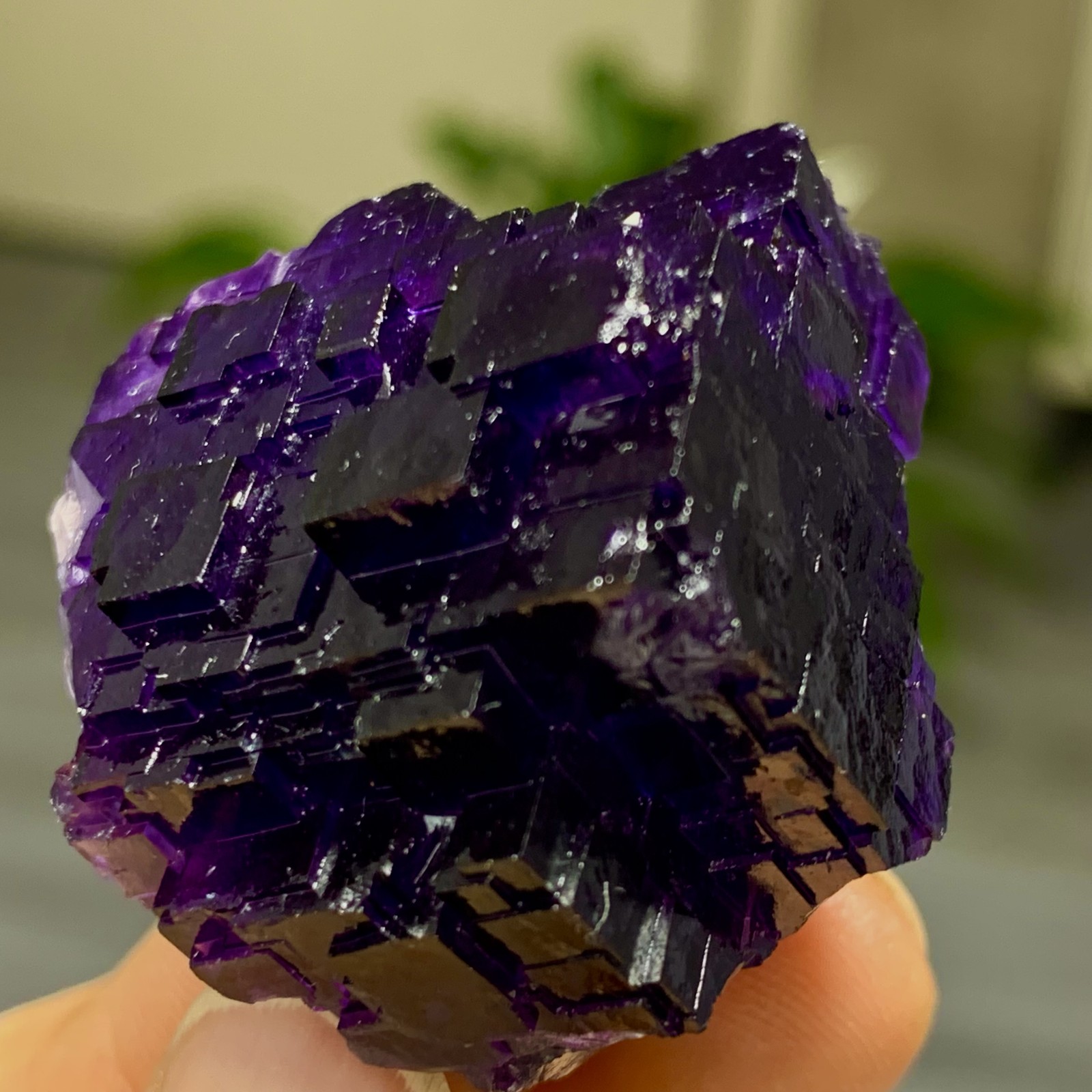 40G Natural purple framed cubic fluorite mineral specimen/Inner Mongolia