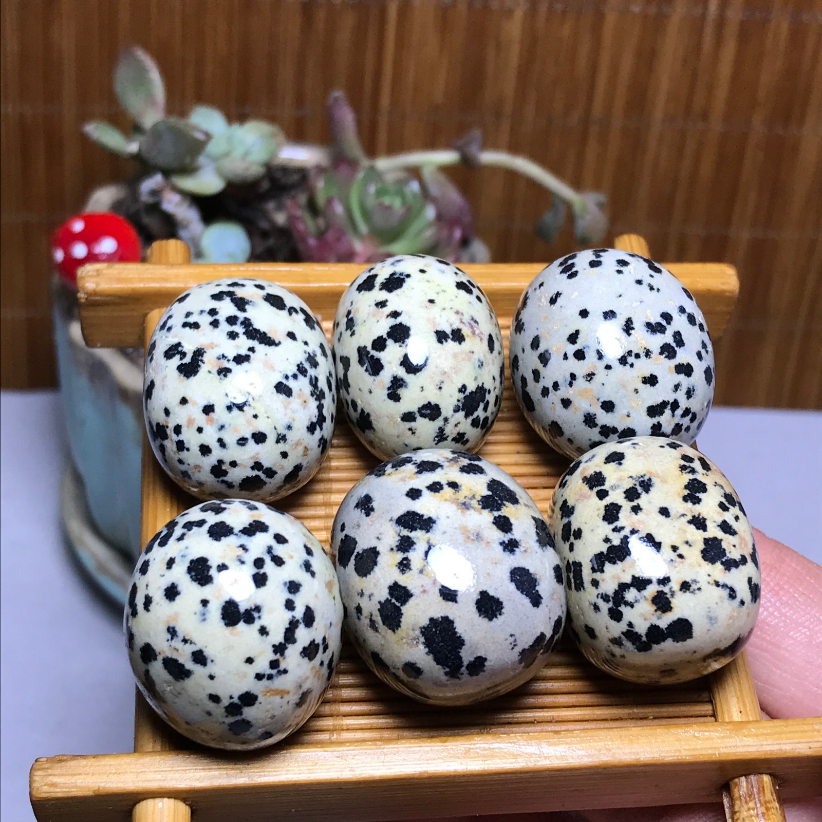 28-22-21mm 6Pcs Natural spotted stone Crystal gemstone Mineral Specimen A4402