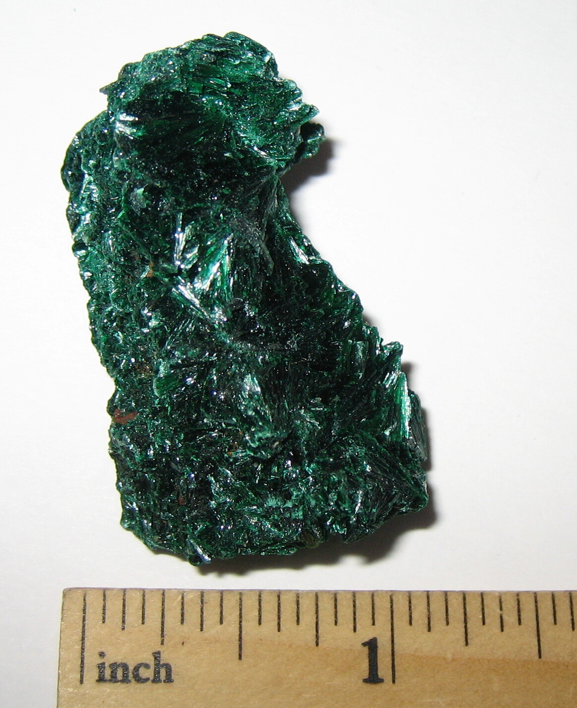 1.7″ BEAUTIFUL FIBROUS MALACHITE CRYSTAL CLUSTER FROM THE CONGO ~ 33.9grams *6