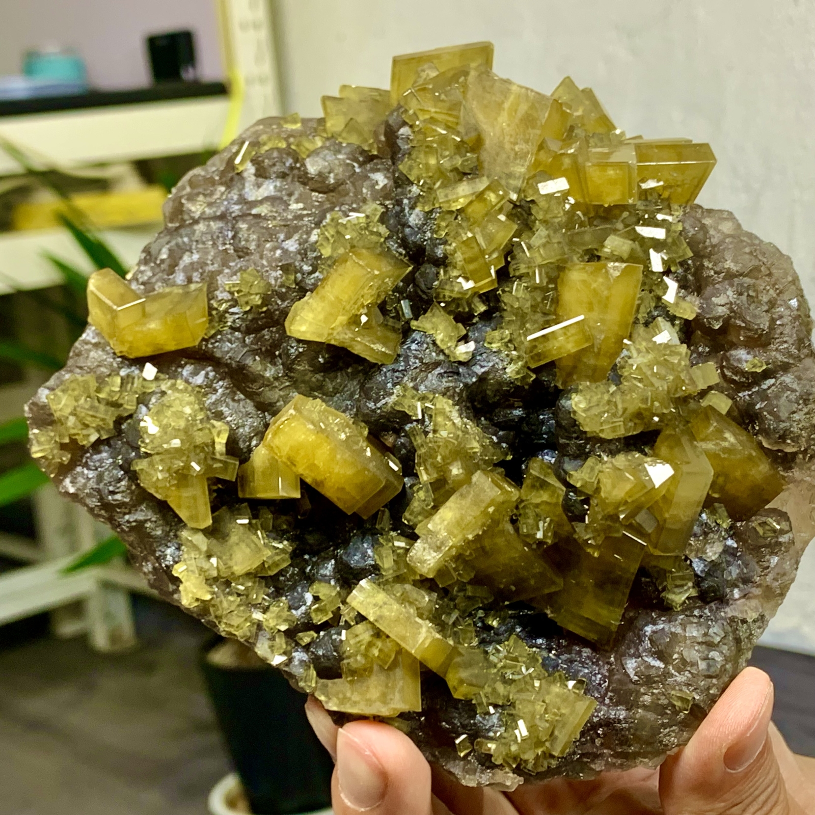 2.76LB Shiny Golden Cuboid Barite Crystal Based on the Purple Spherical Fluorite