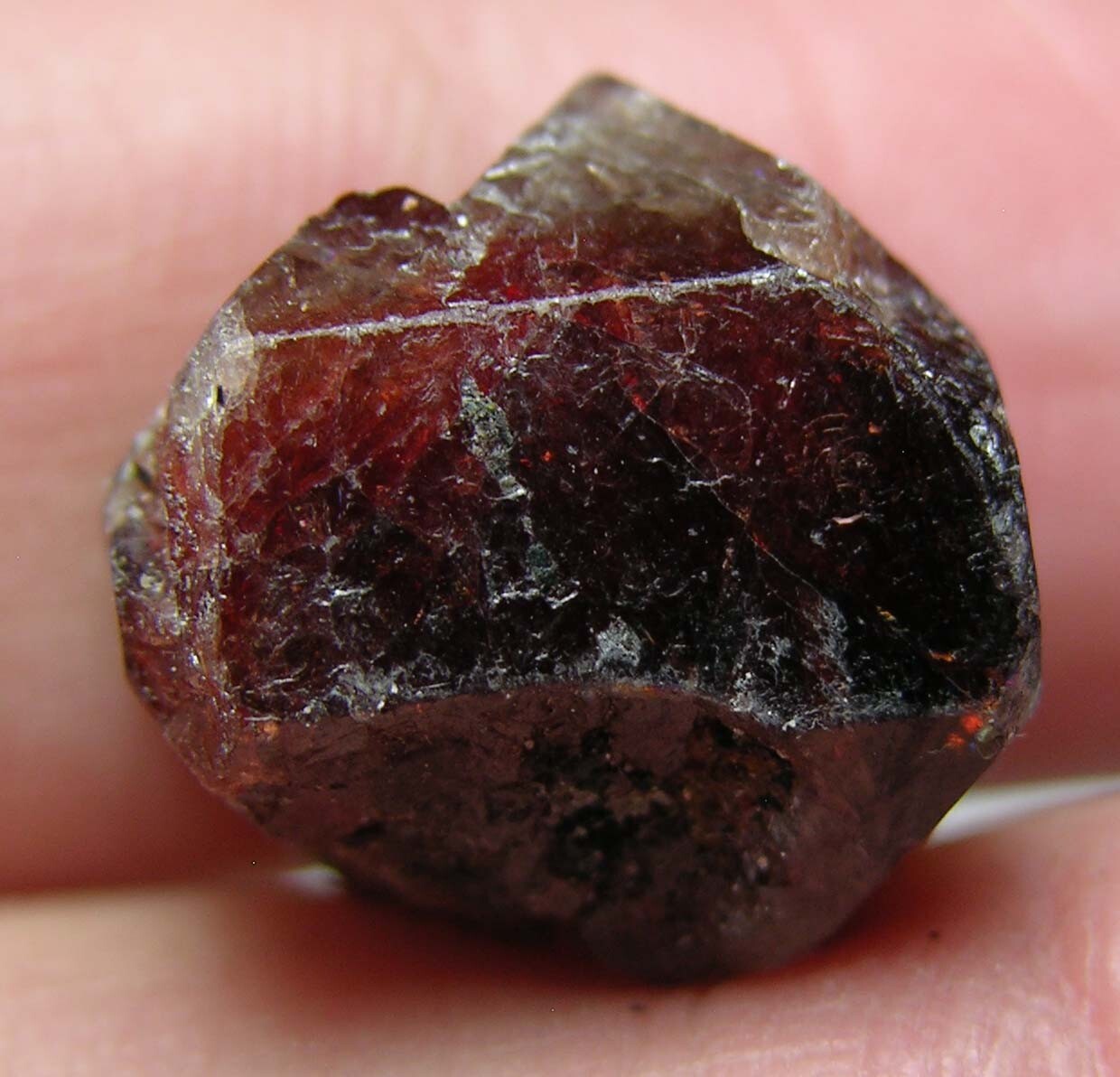 #8 Afghanistan 33.20ct Natural Octagonal Brownish Red Zircon Specimen 6.60g 18mm