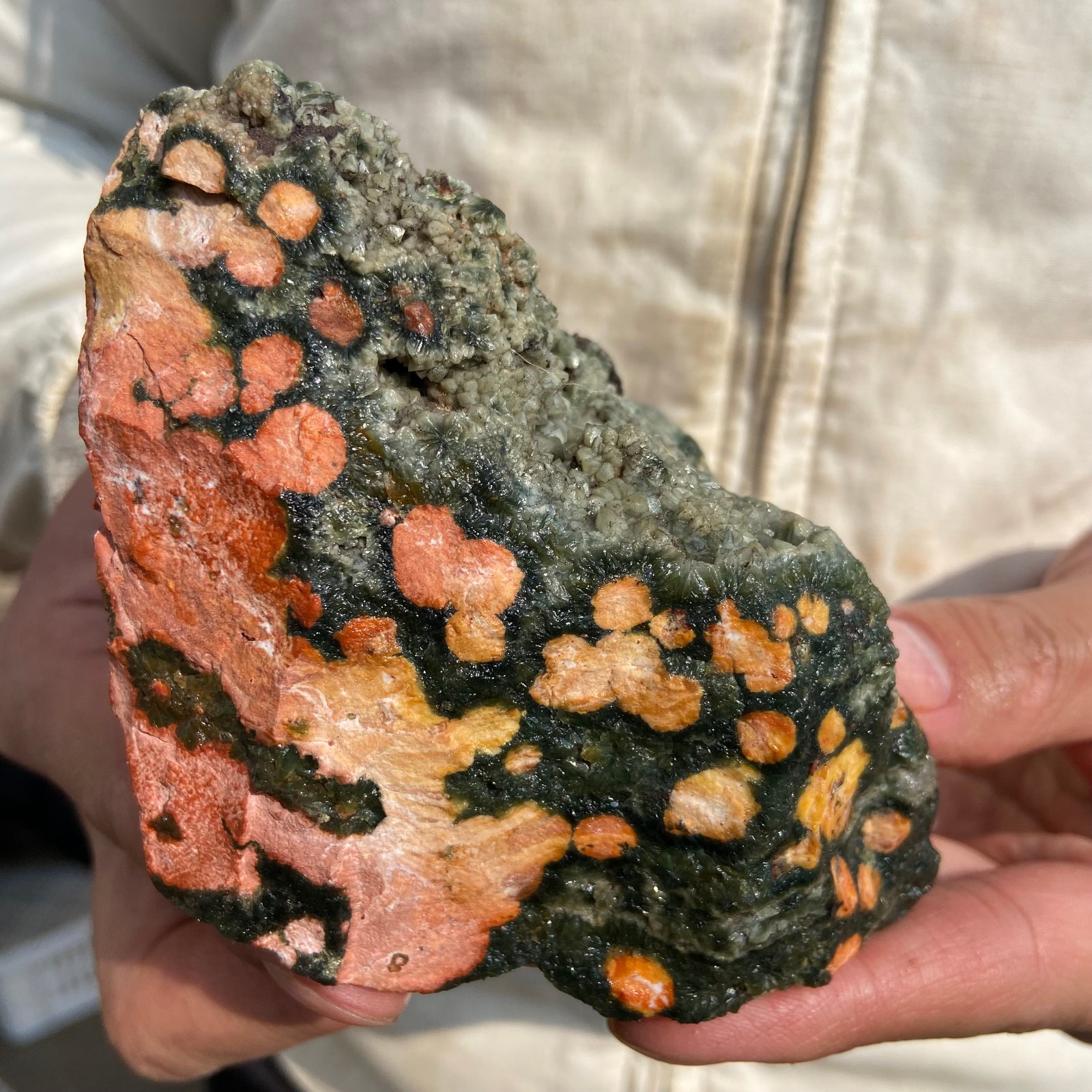 1.3lb Natural colourful ocean jasper raw stone crystal rough mineral specimen