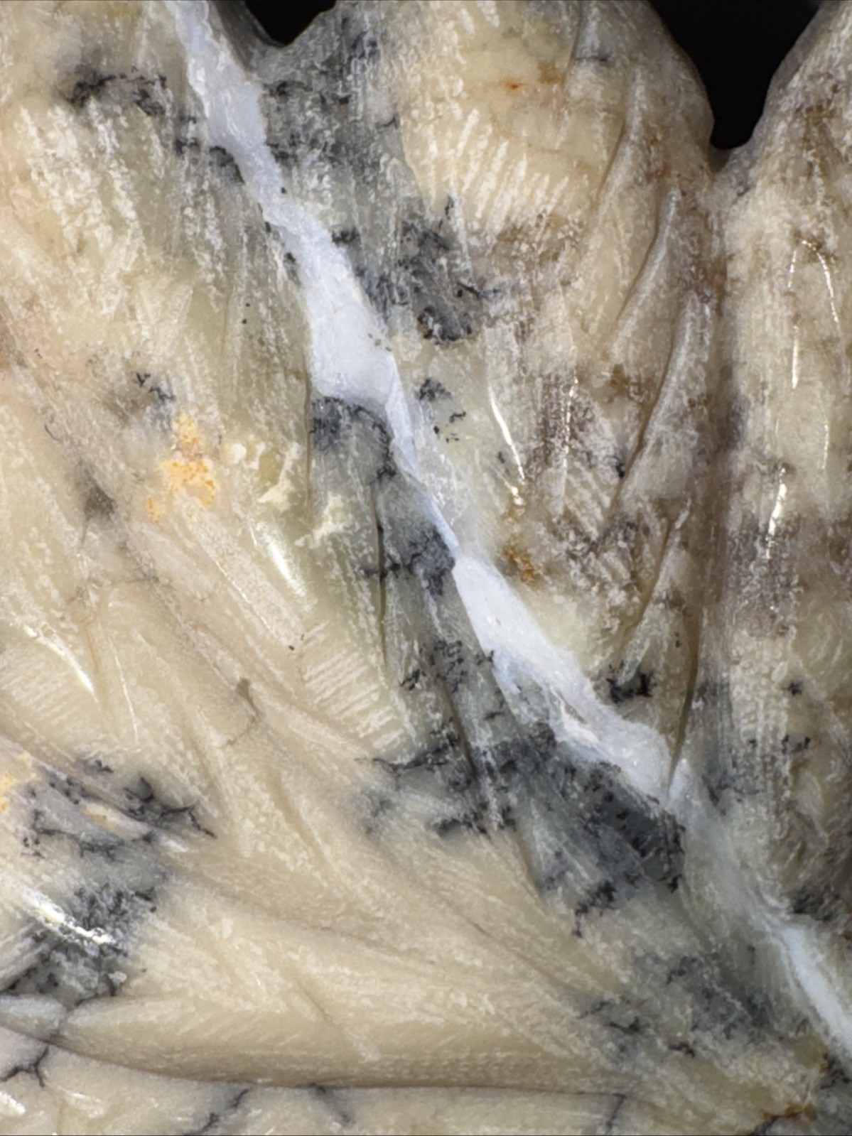 Dendritic Agate Nine Tail Fox. Some Points of The Tail Are Irregular See Photos