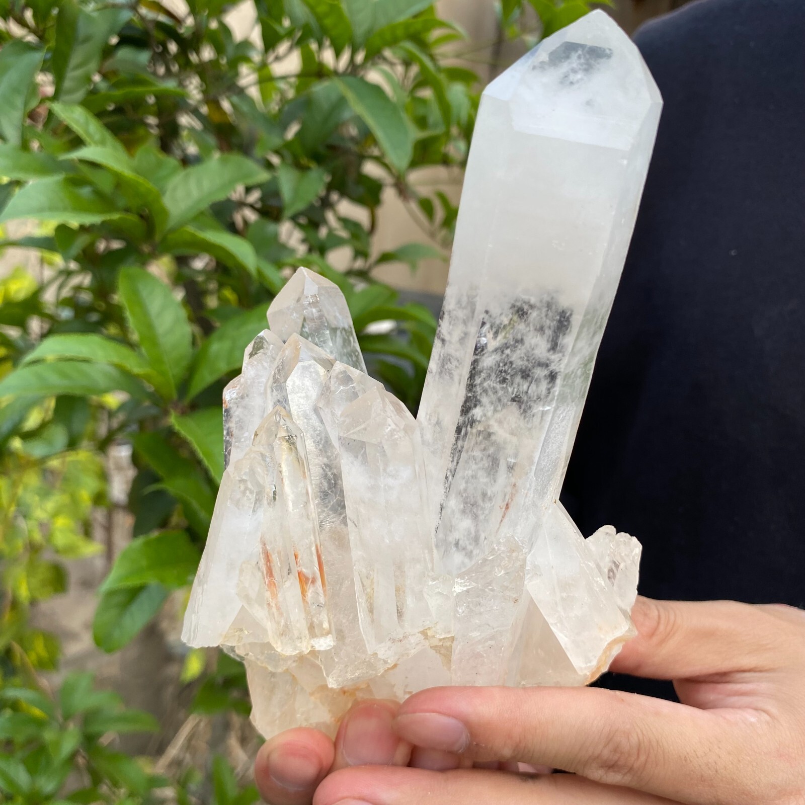 1.2lb Natural Clear White quart Crystal Cluster Raw Healing Specimen