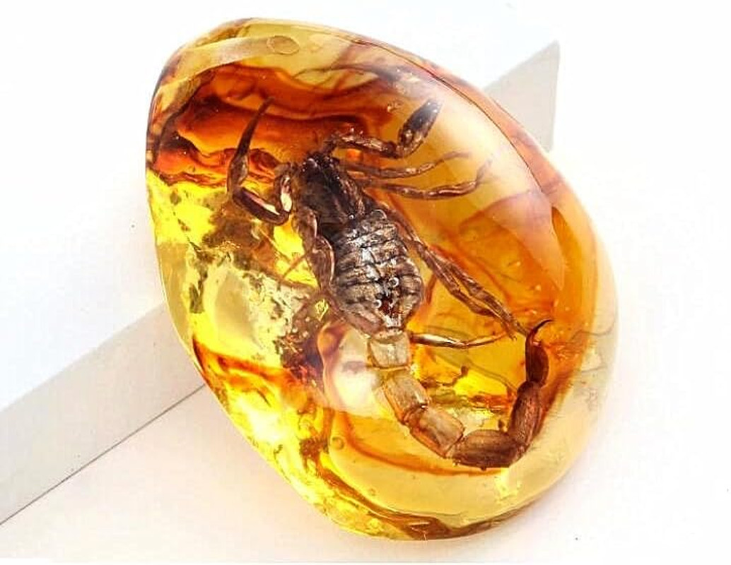 Resin Amber Insect Pendant Scorpion Fossil Stone Crystal Home