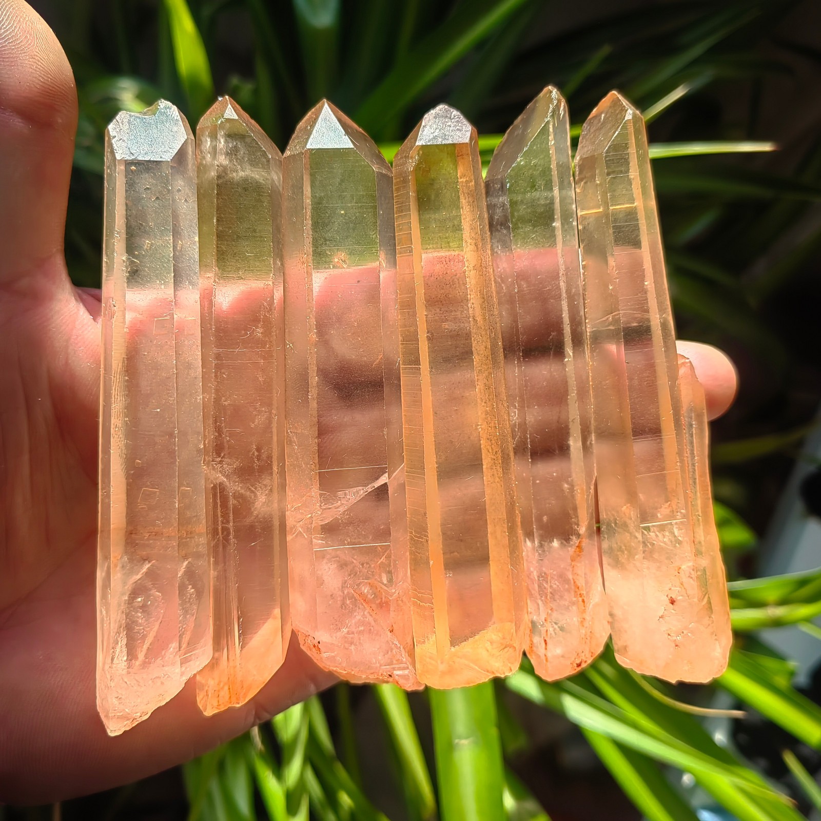 333g6pcs Natural Crystal Quartz Single Point wand Rough Original Specimens Dx177