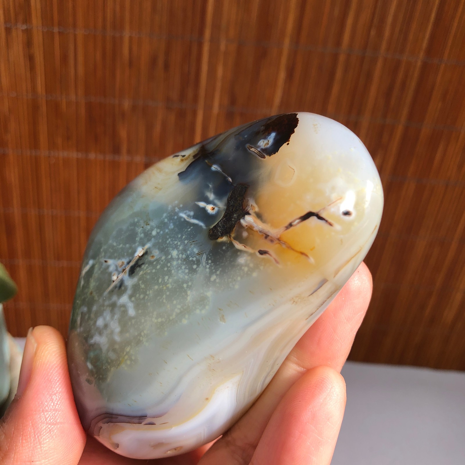 80mm Natural aquatic plants agate pretty Crystal specimens 235g A1485