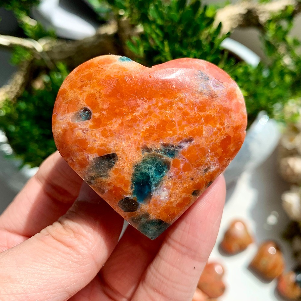 2pc 50-100G Natural Blue Apatite Sunstone Symbiotic Heart Flashy Collect