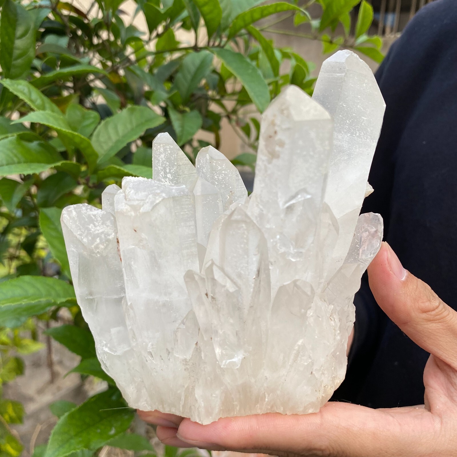 2.4lb Natural Clear White quart Crystal Cluster Raw Healing Specimen