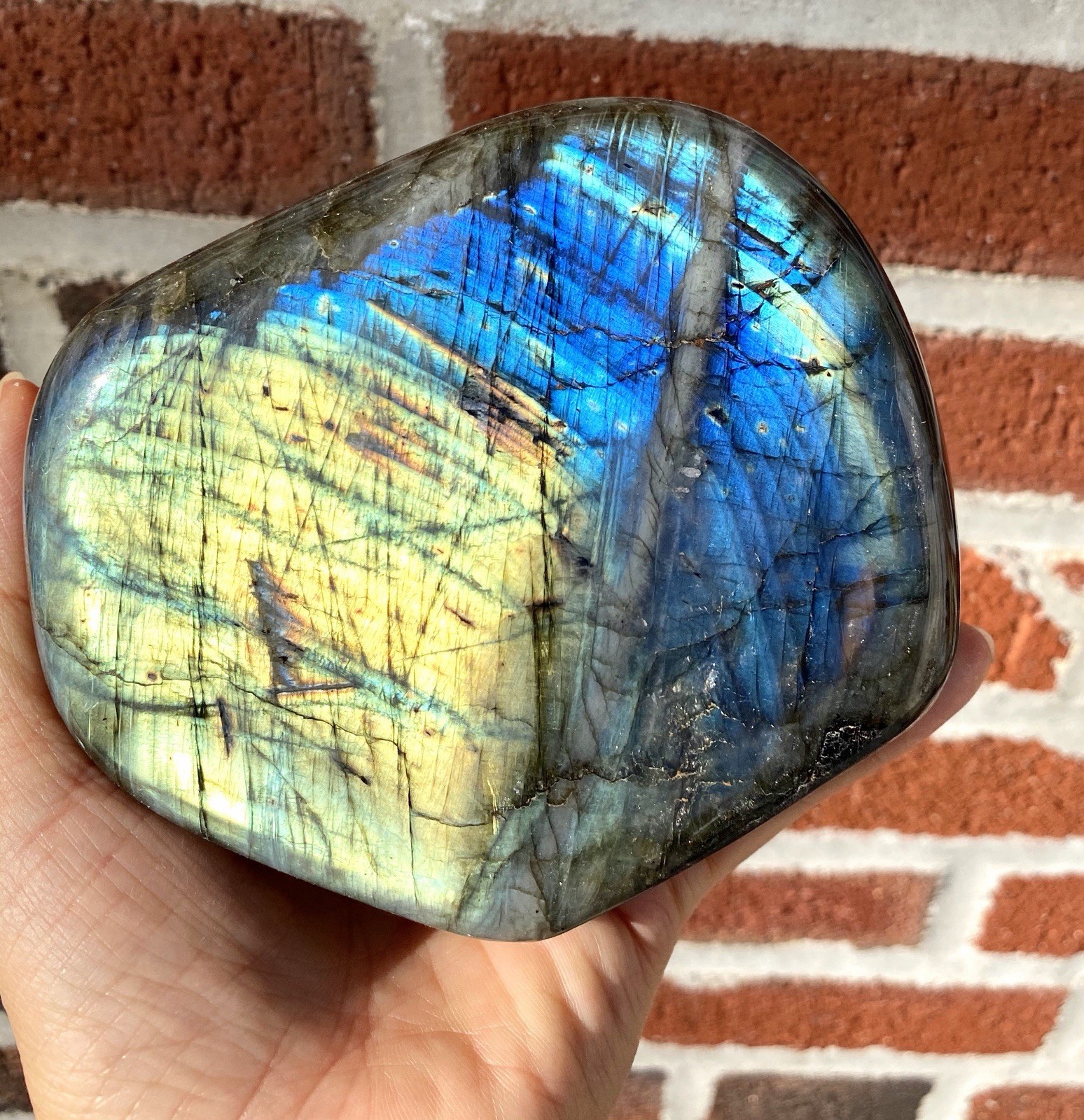 Wholesale Lot 3-5 Pcs Natural Labradorite Freeform Crystal 7.8-8 Lbs