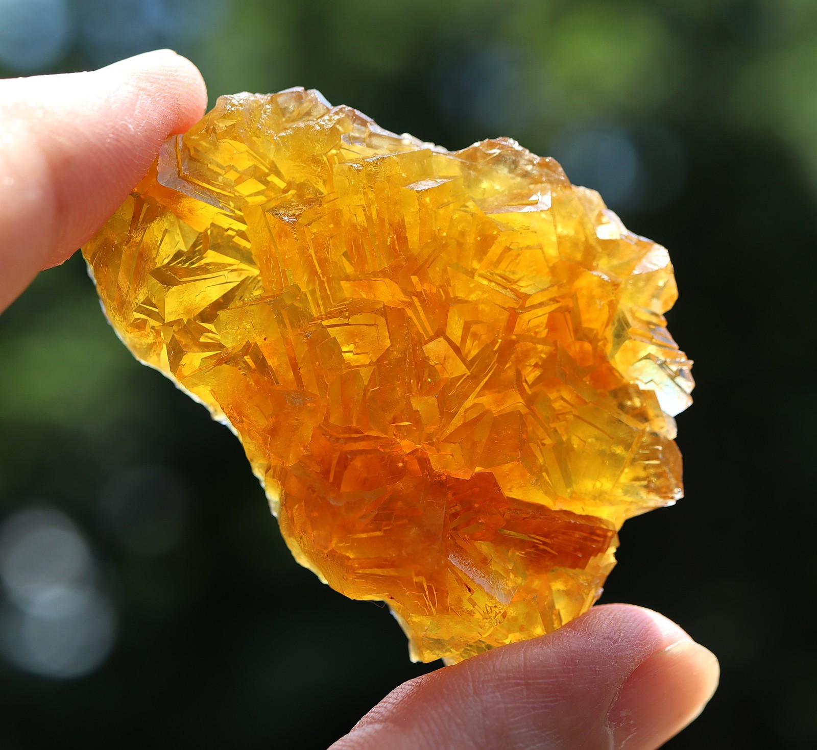 Gem Fluorite. Steinkopf, Namakwa Dist, Municipality, Northern Cape, South Africa