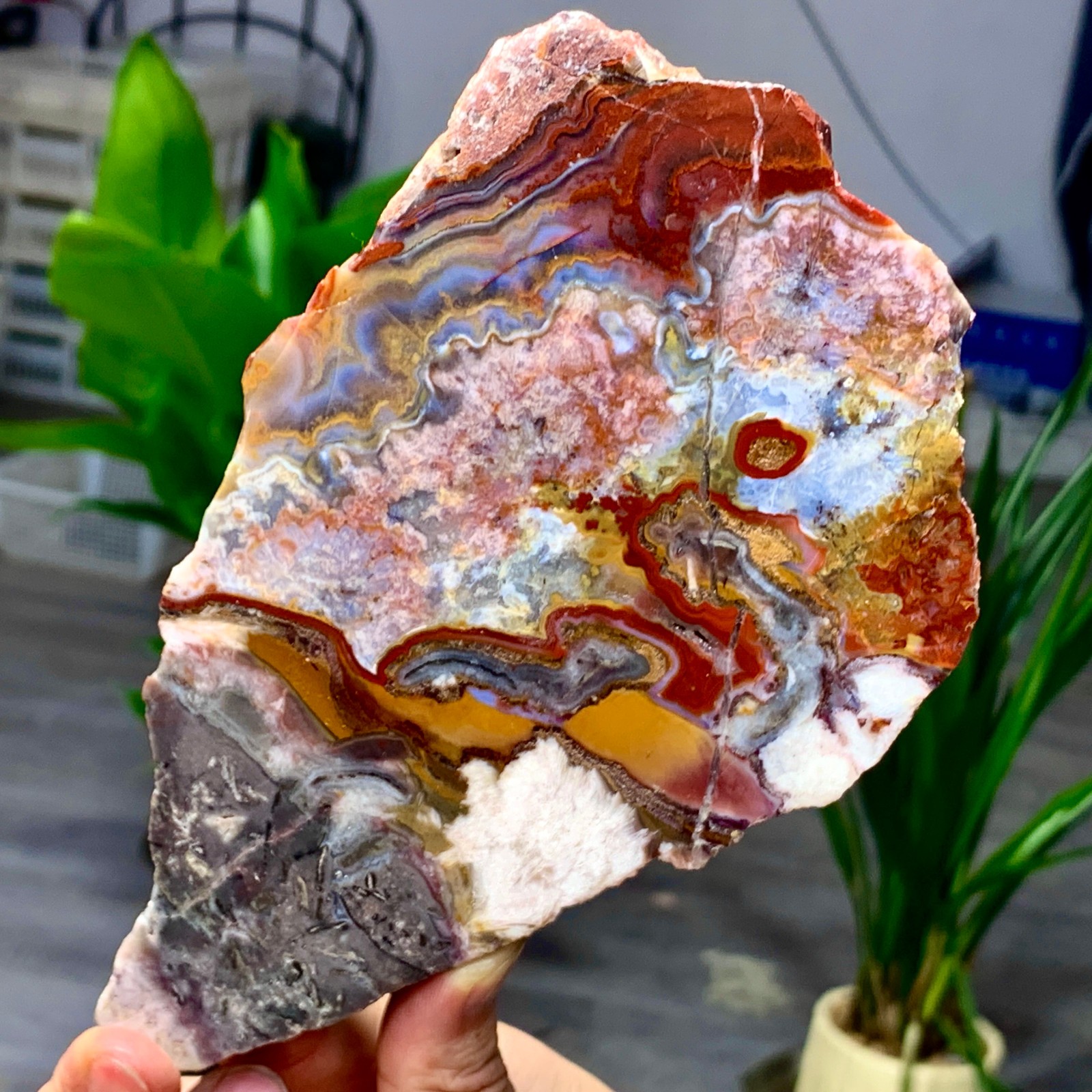 449G Natural Red Crazy Ribbon Lace Agate Crystal Polishing Sheet Mexico Repair