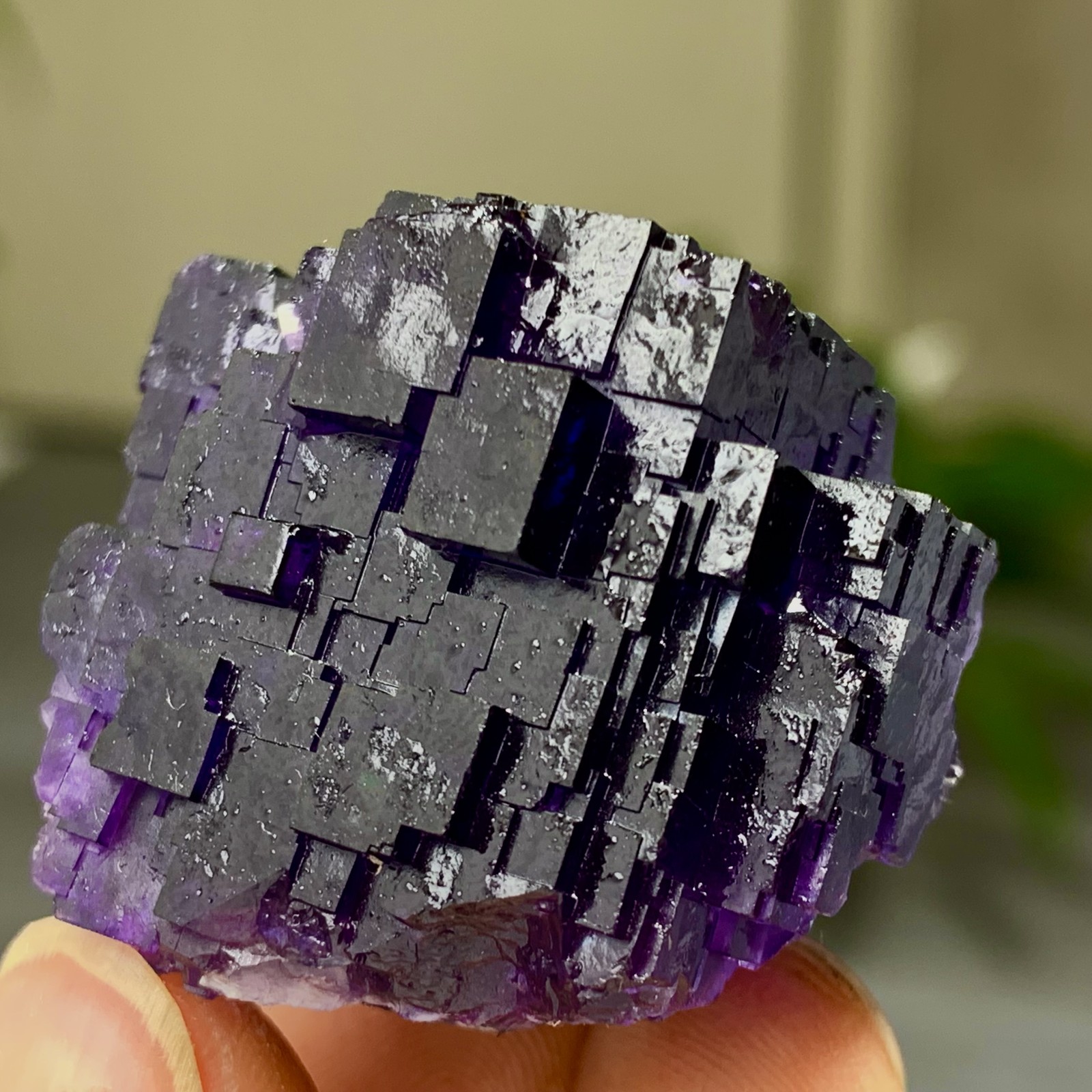 40G Natural purple framed cubic fluorite mineral specimen/Inner Mongolia