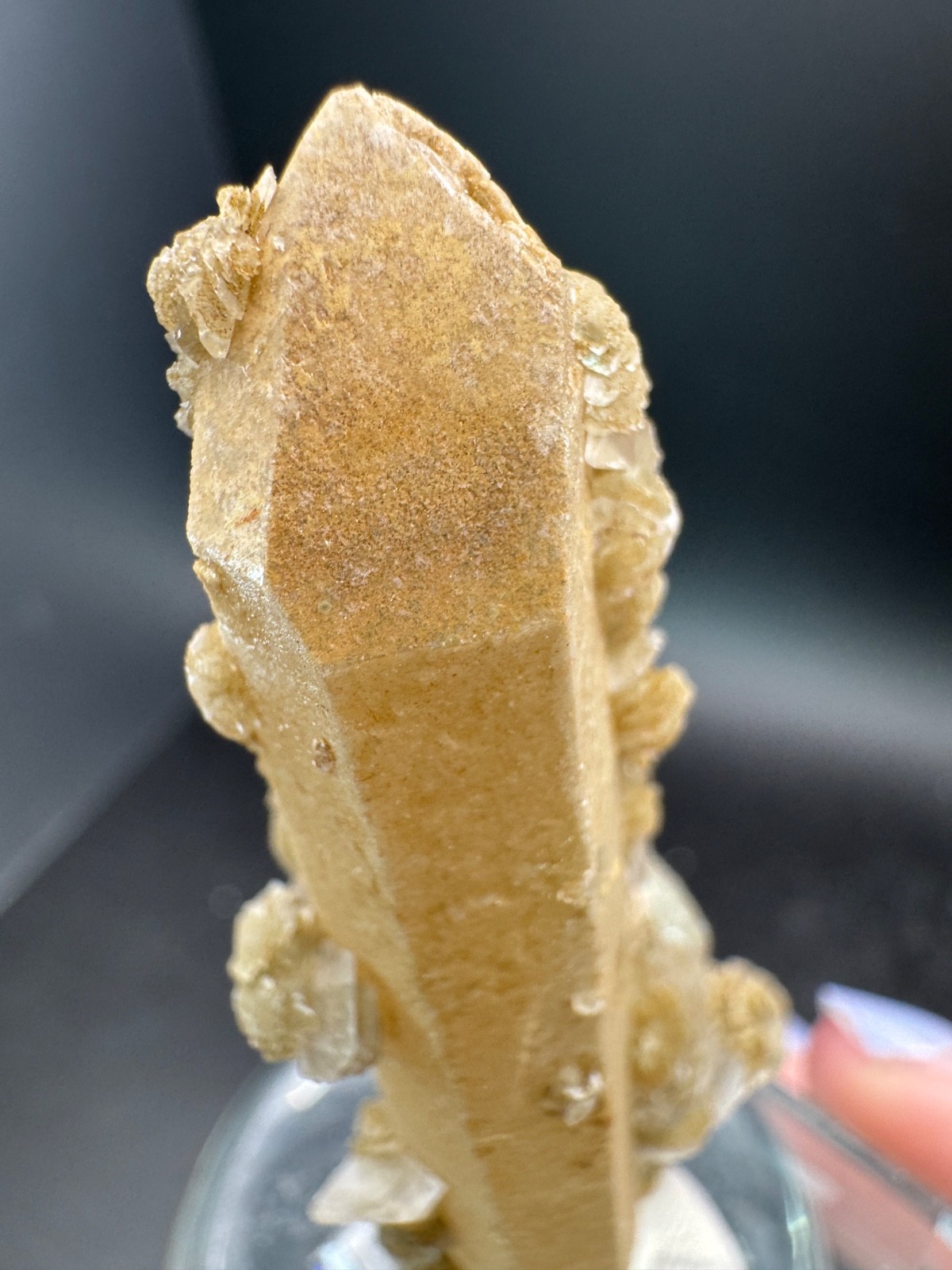 6631 Yellow Candle Quartz Point with Petal Calcite Inner Mongolia 28g