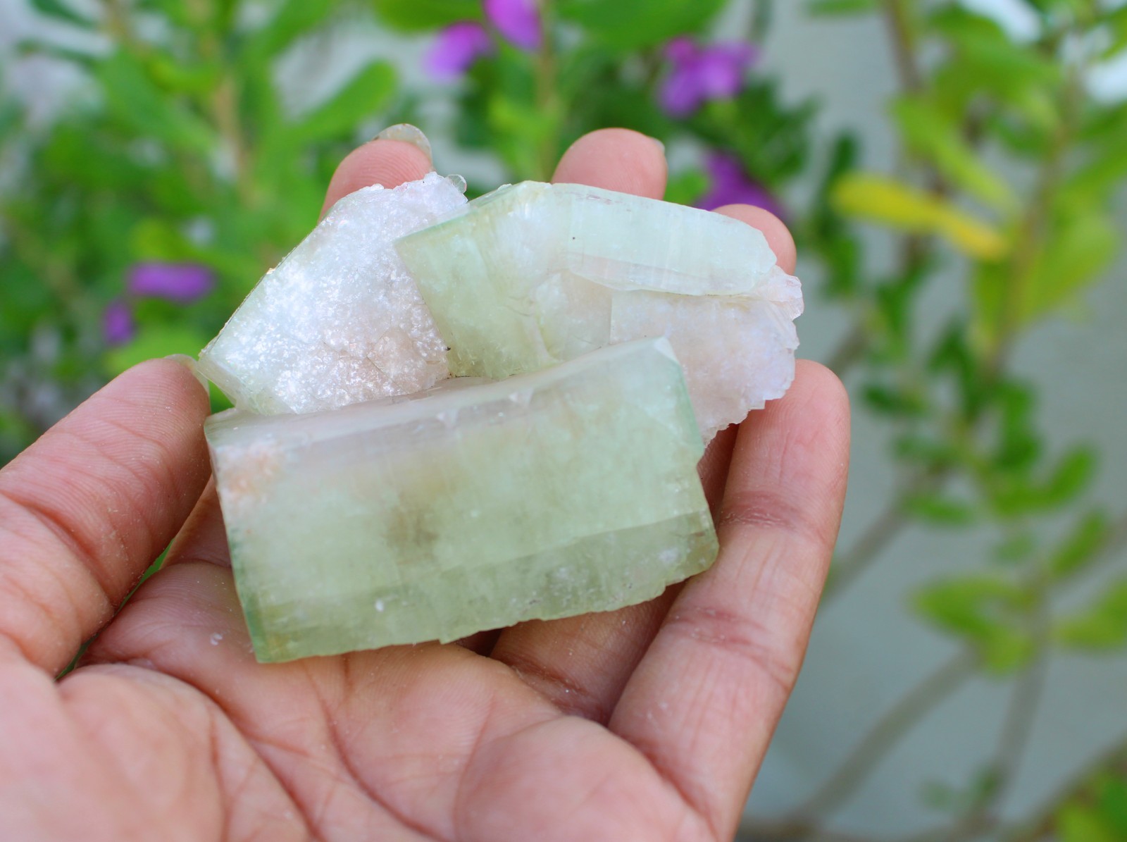 Green Apophyllite Crystals Minerals Specimen #A49
