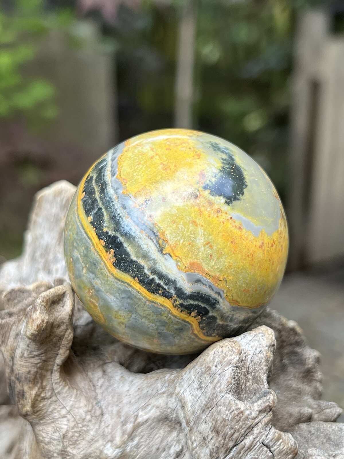 Orange Bumblebee Jasper Ball 51mm AAA+ Inspiration Intention Creativity R20/10