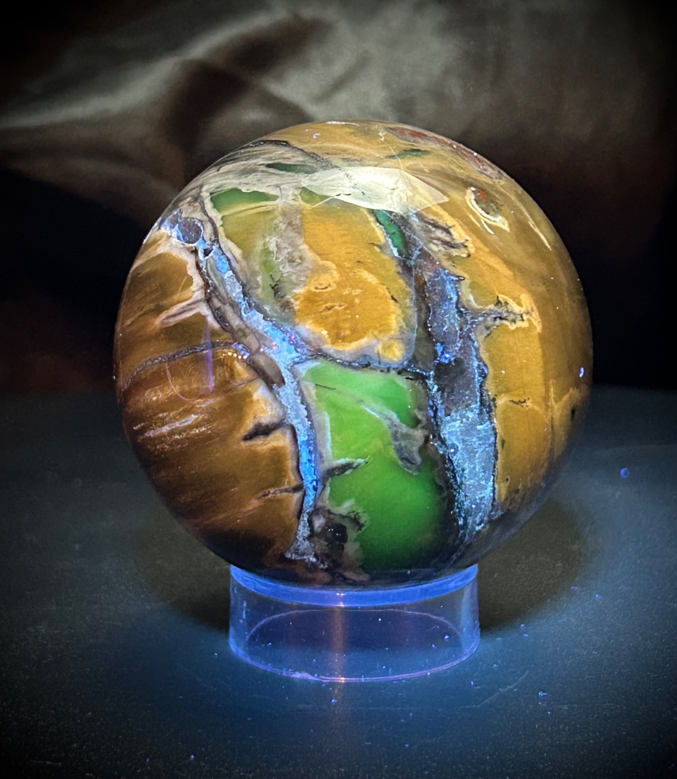 2.33″ Petrified Wood Sphere With Acrylic Stand UV REACTIVE 10.1oz