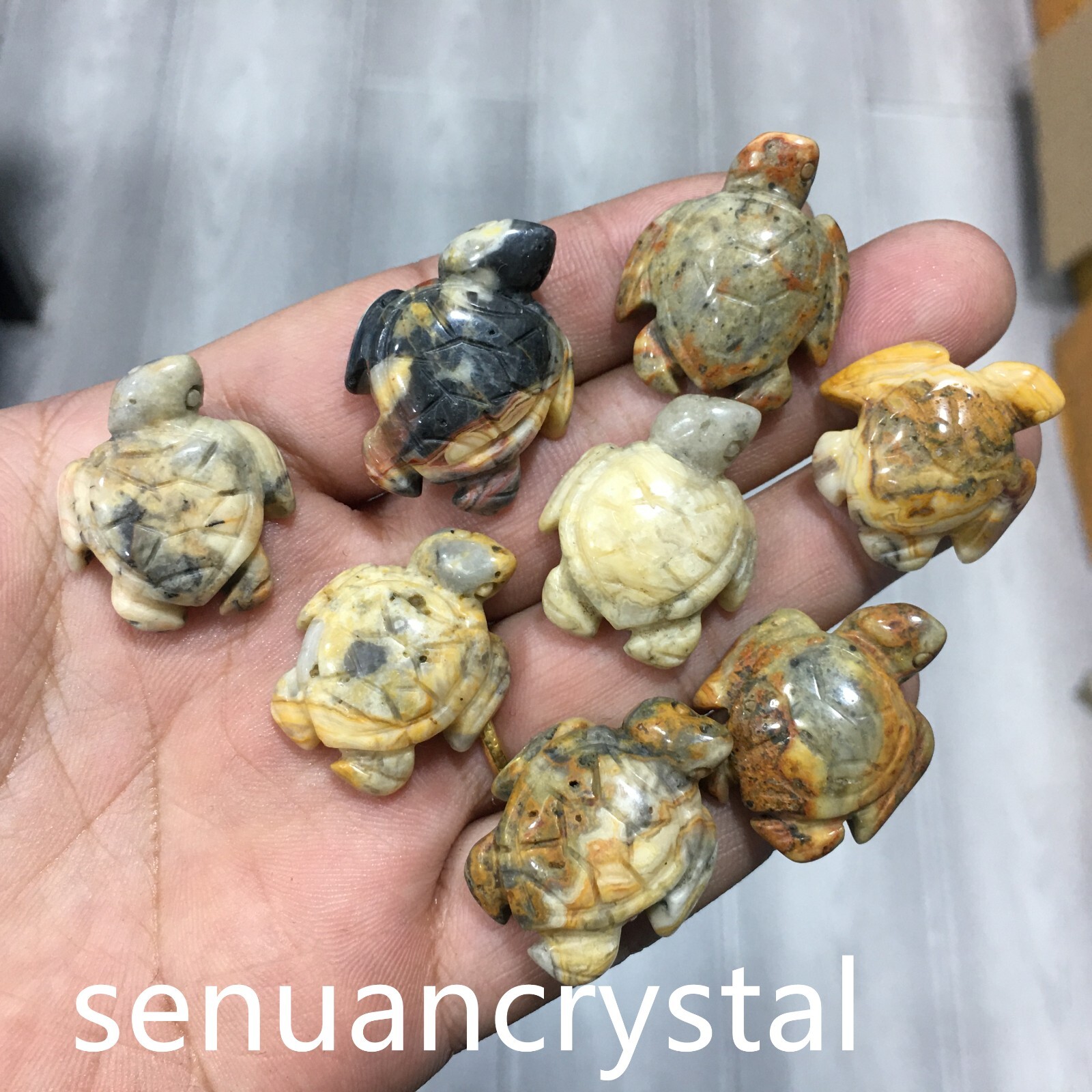 5pcs Natural Crazy agate quartz Crystal Sea turtle Carved Skull Healing random